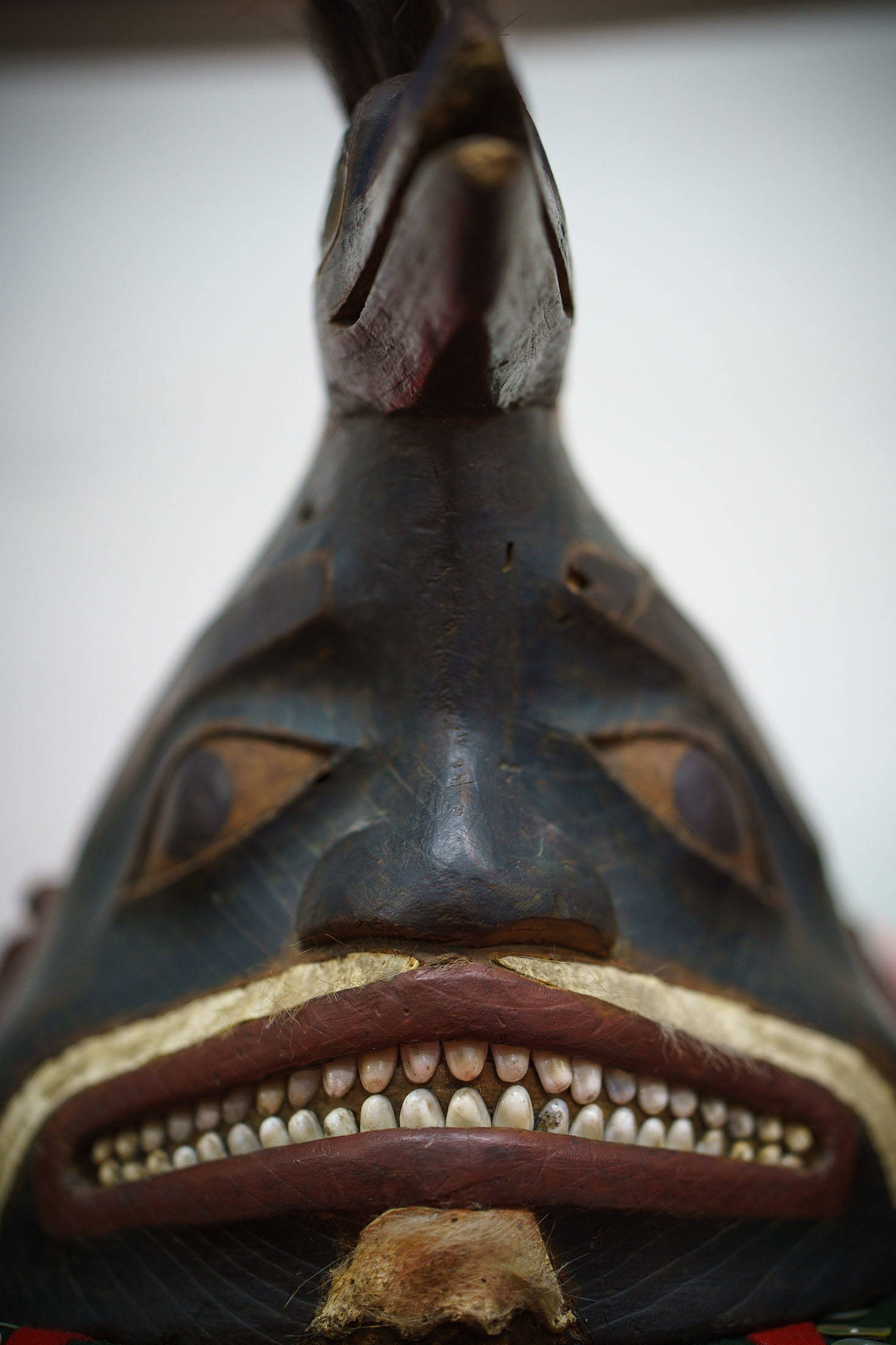 A close up of one of the Tlingit war helmets recently returned to the Kiks.adi from an east coast museum. Photo by Bethany Goodrich
