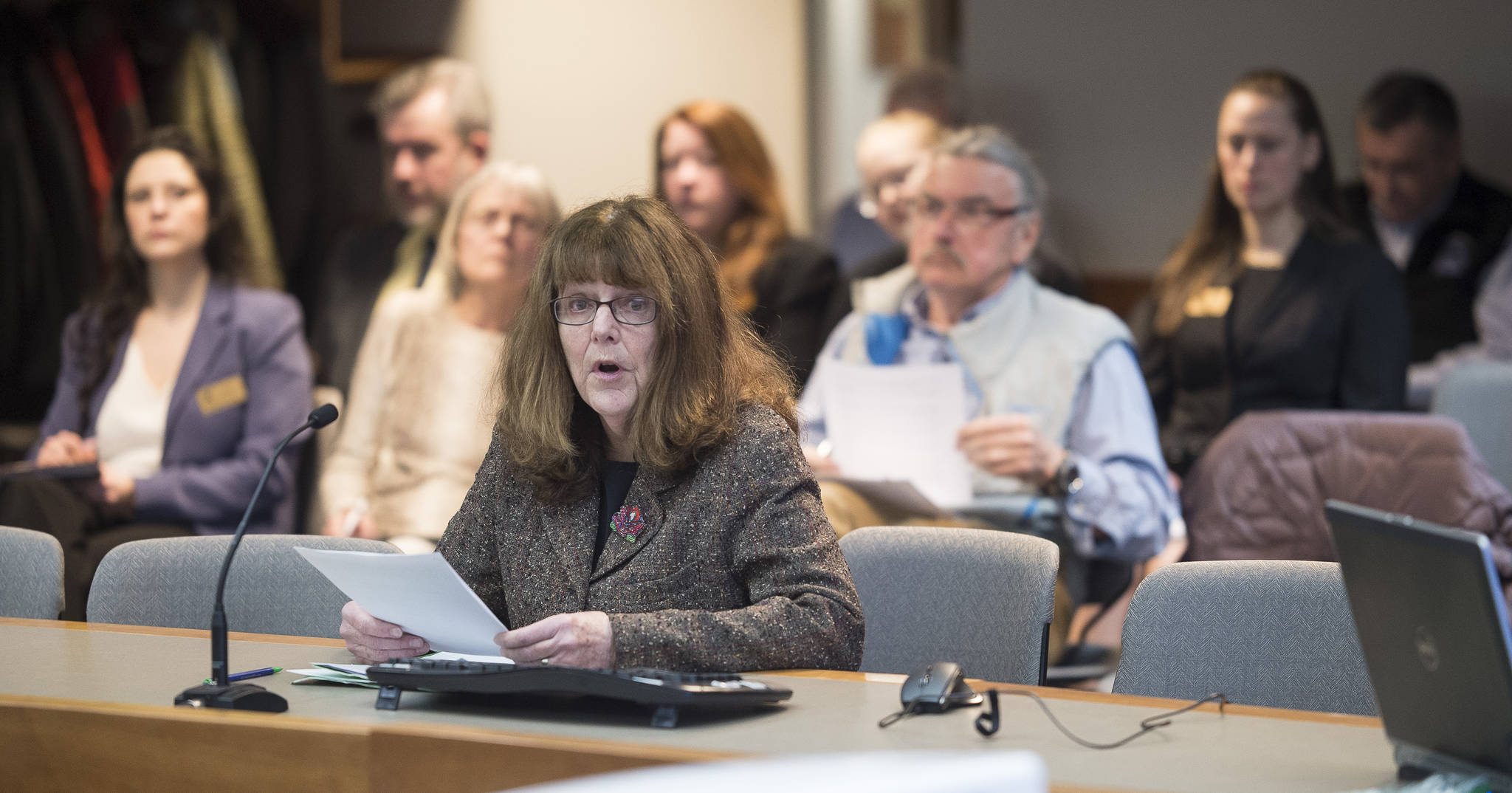 Elaine Schroeder speaks to the Board of Trustees of the Alaska Permanent Fund Corporation on divesting from fossil fuel investments during public testimony at its Quarterly Meeting in Juneau on Wednesday, Feb. 21, 2018.