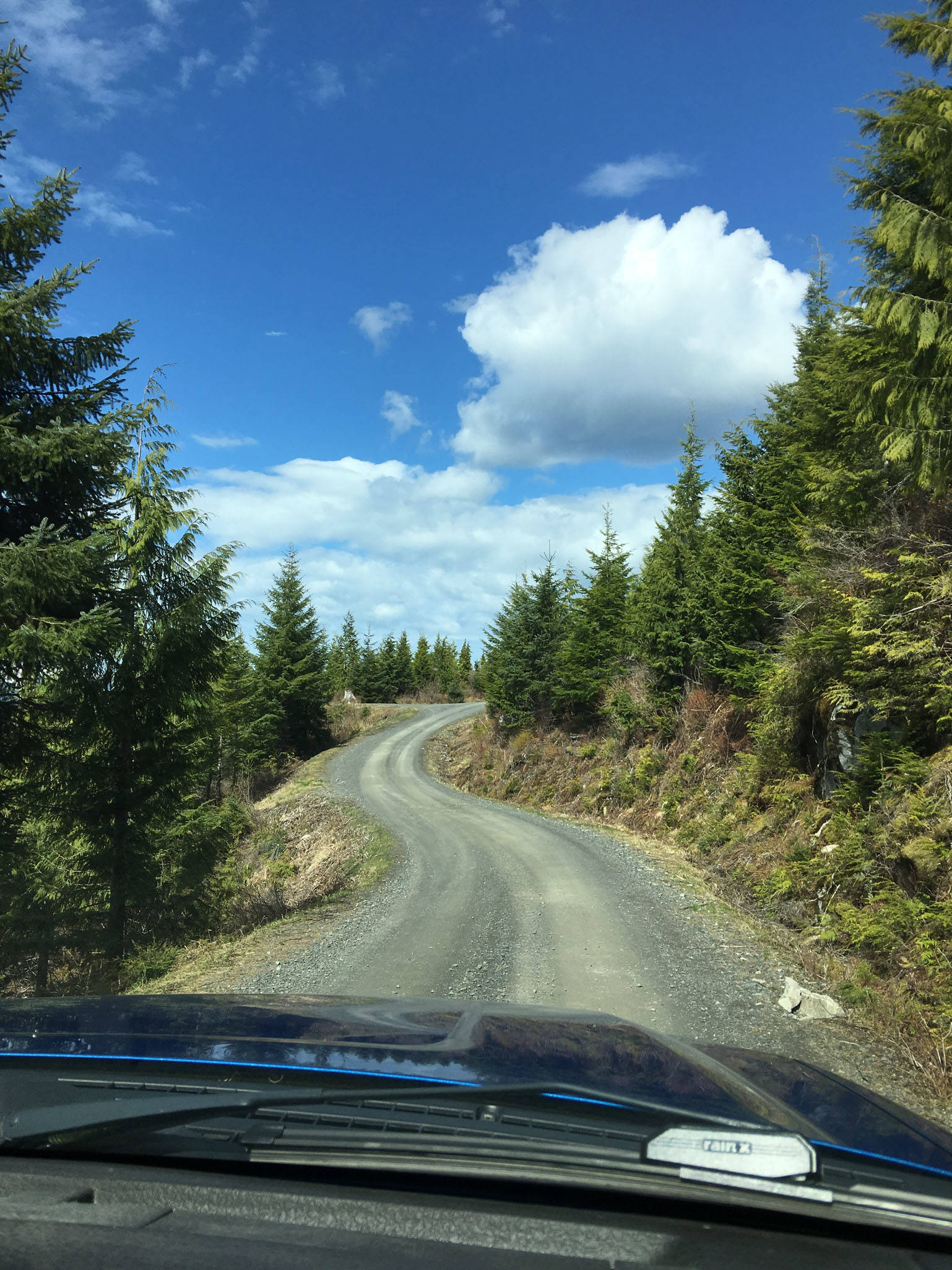 Wrangell logging road. Image courtesy of Vivian Faith Prescott.