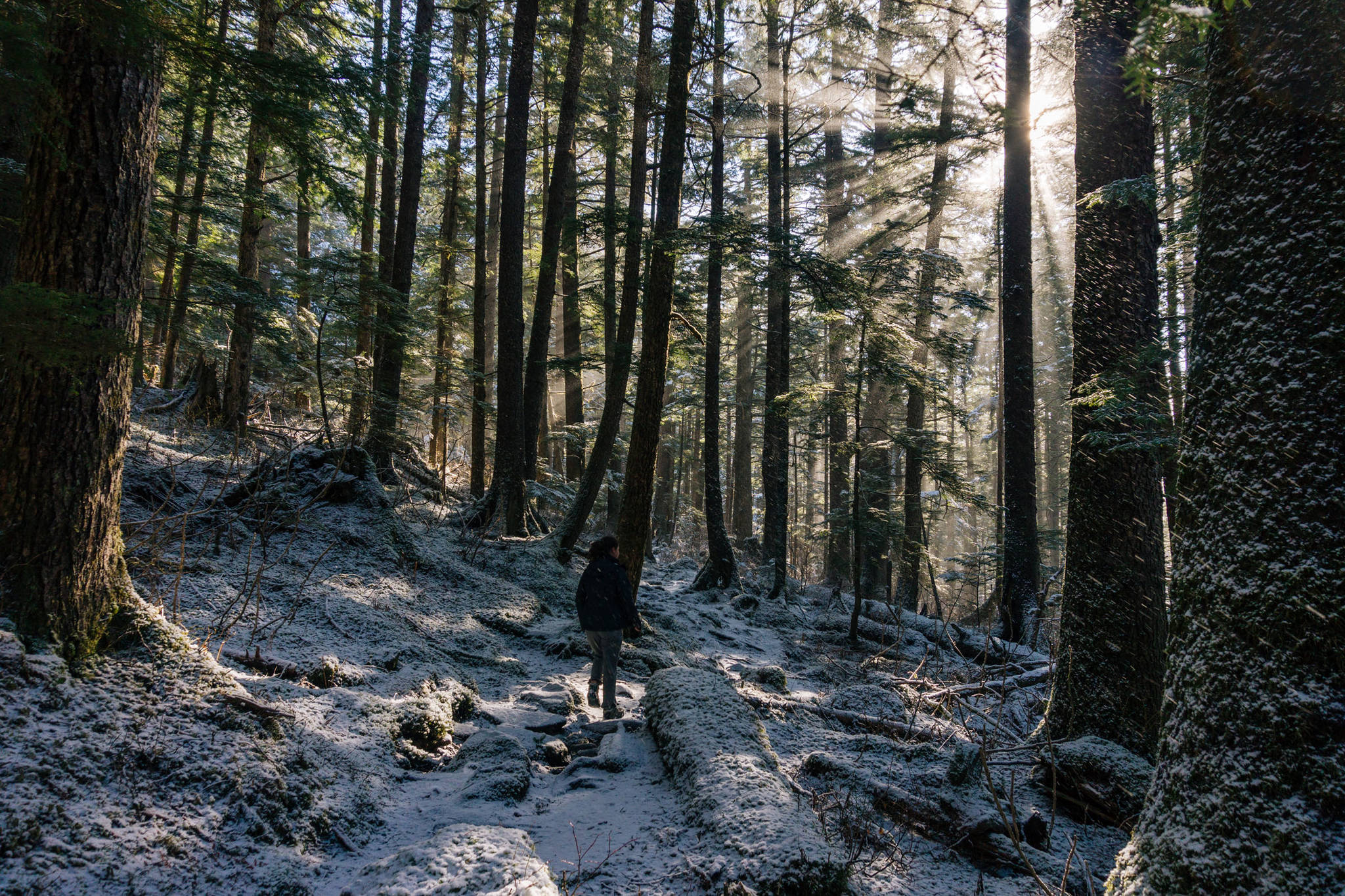The wind blows snow around, creating sunshine beams in the air, on DuPont Trail Wednesday. (Gabe Donohoe | For the Juneau Empire)