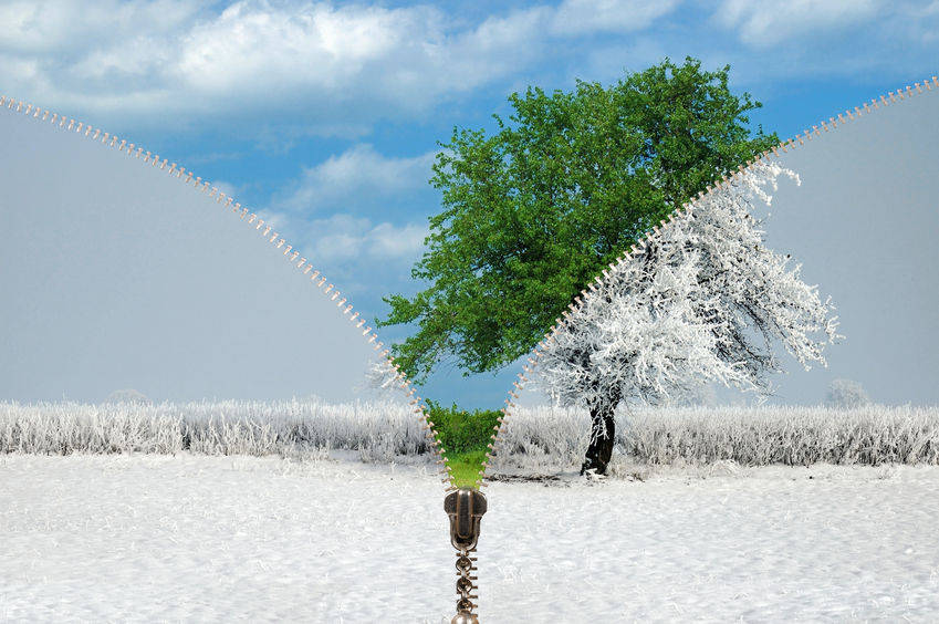 123rf.com Stock Photo