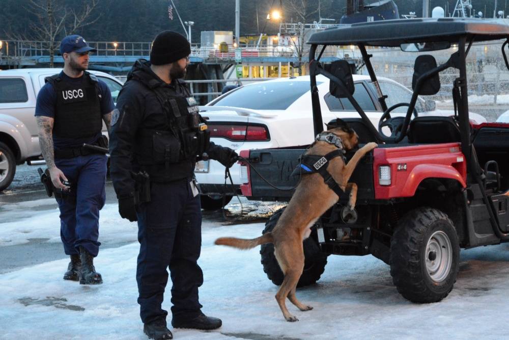 Canine Ricky and his handler Petty Officer 1st Class Jordan Brosowsky, a member of Coast Guard Maritime Safety and Security Team San Francisco (91105), conducts a sweep of the Alaska Marine Highway System ferry terminal parking lot in Juneau, Alaska, March 12, 2018. (Courtesy photo | Lt. Brian Dykens)