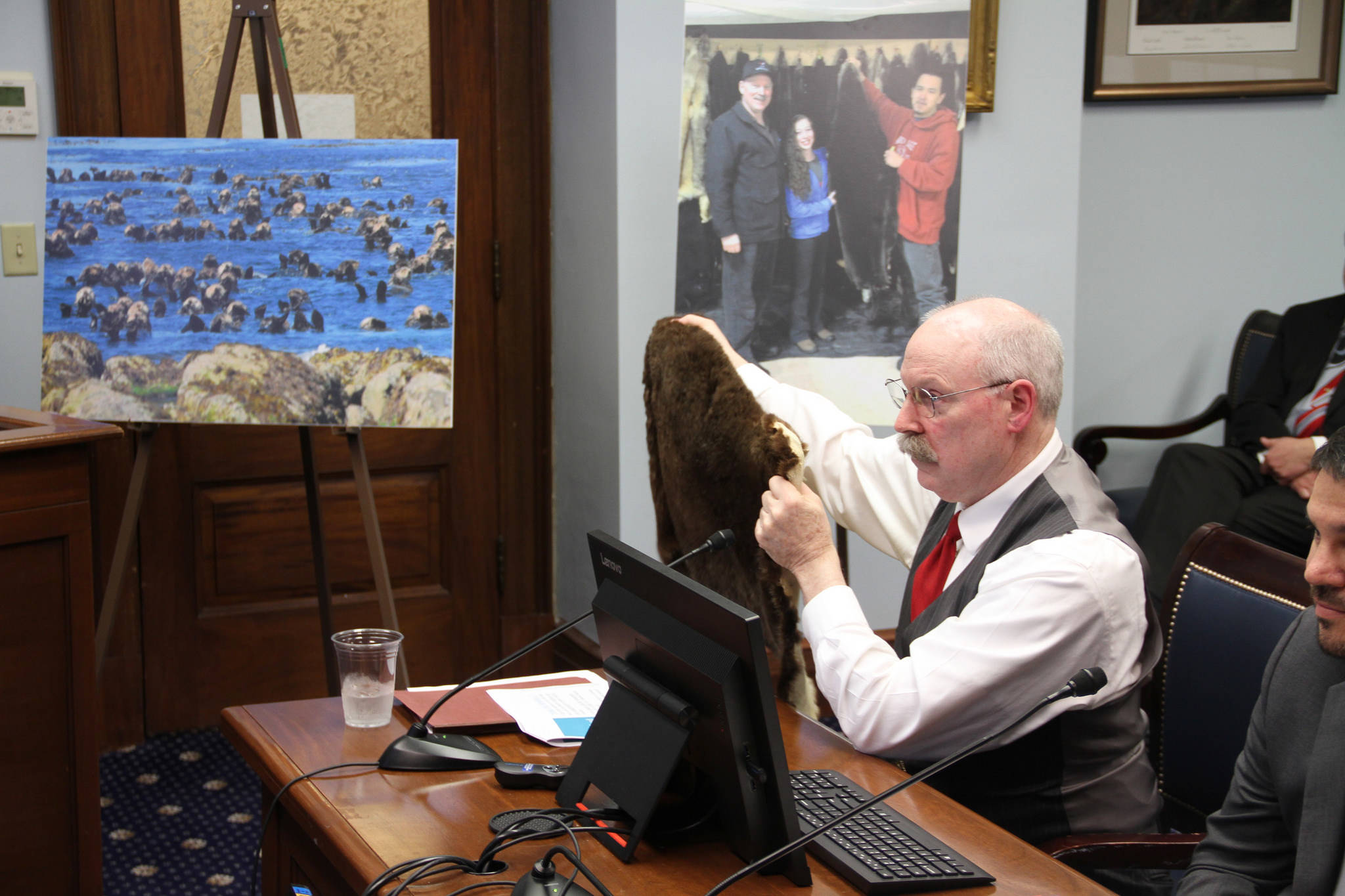 Sen. Bert Stedman, R-Sitka, holds up a sea otter pelt during a Senate committee hearing on March 12, 2018. (Daniel McDonald | Alaska Senate Majority)