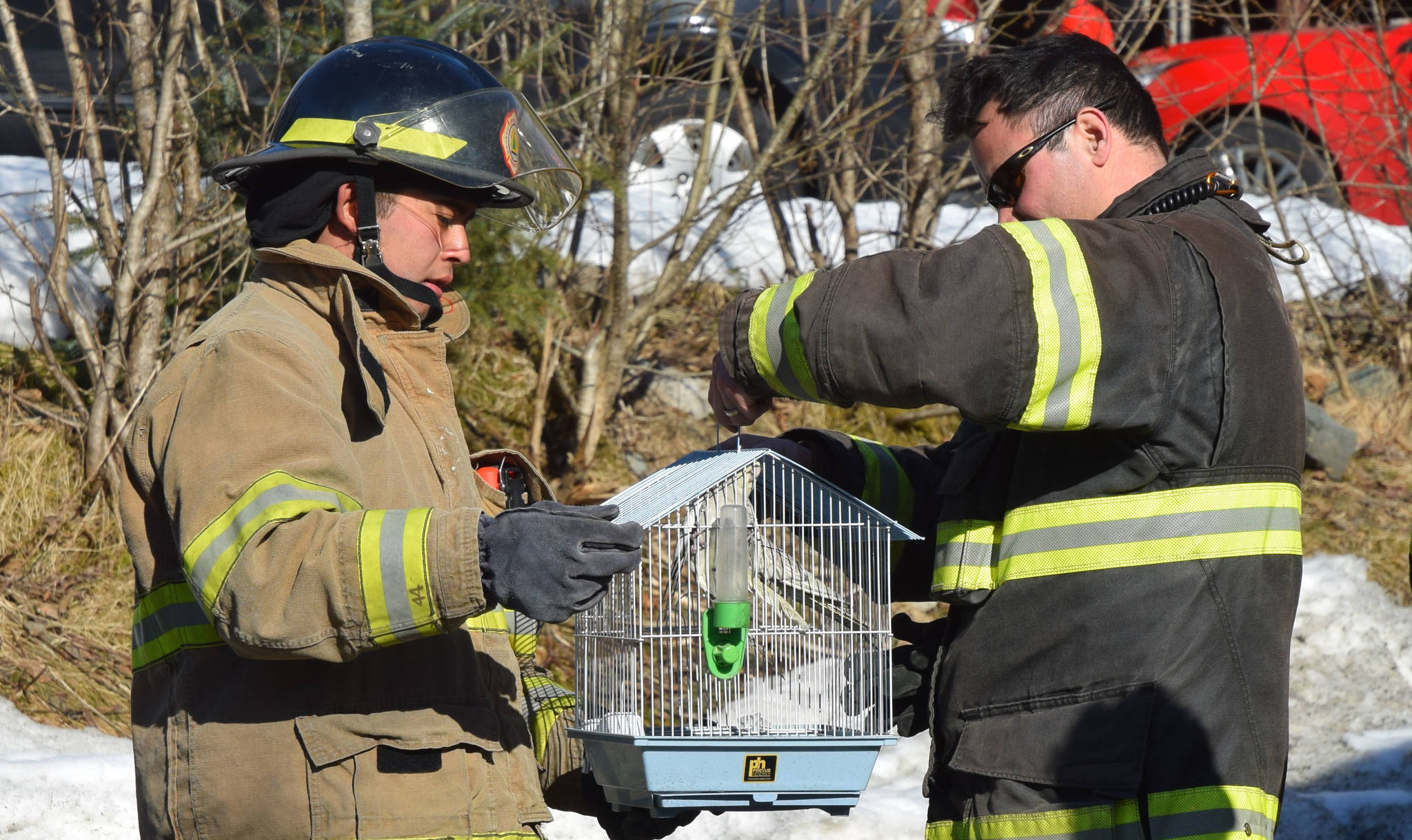 Two Capital City Fire/Rescue firefighters examine pet birds that survived a house fire in the Mendenhall Valley on Friday, March 30, 3018. A third bird died in the fire. (Alex McCarthy | Juneau Empire)