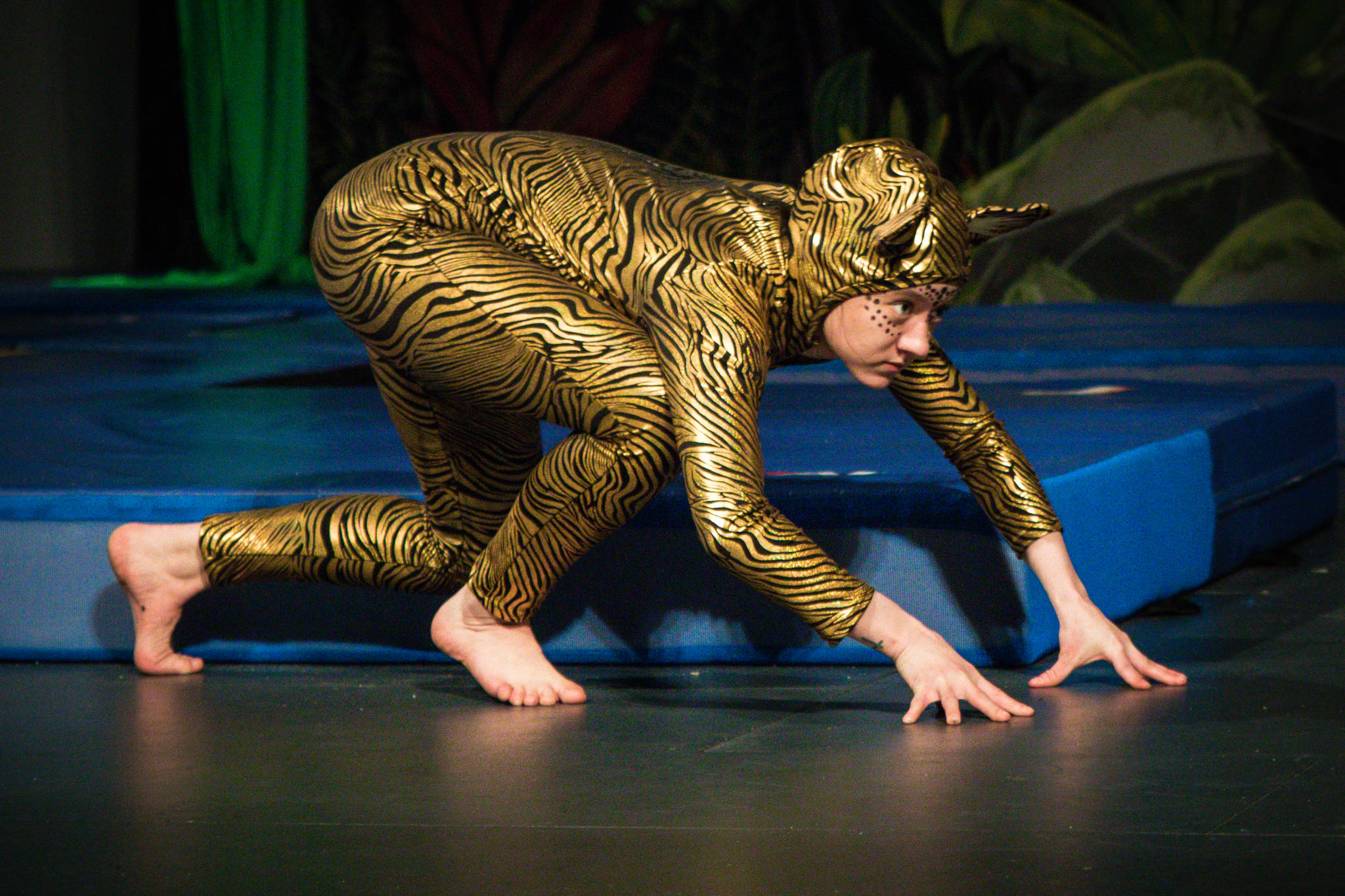 Robust Akkumulerede Rummelig Photos: Sitka Cirque's 'The Jungle Book' | Juneau Empire