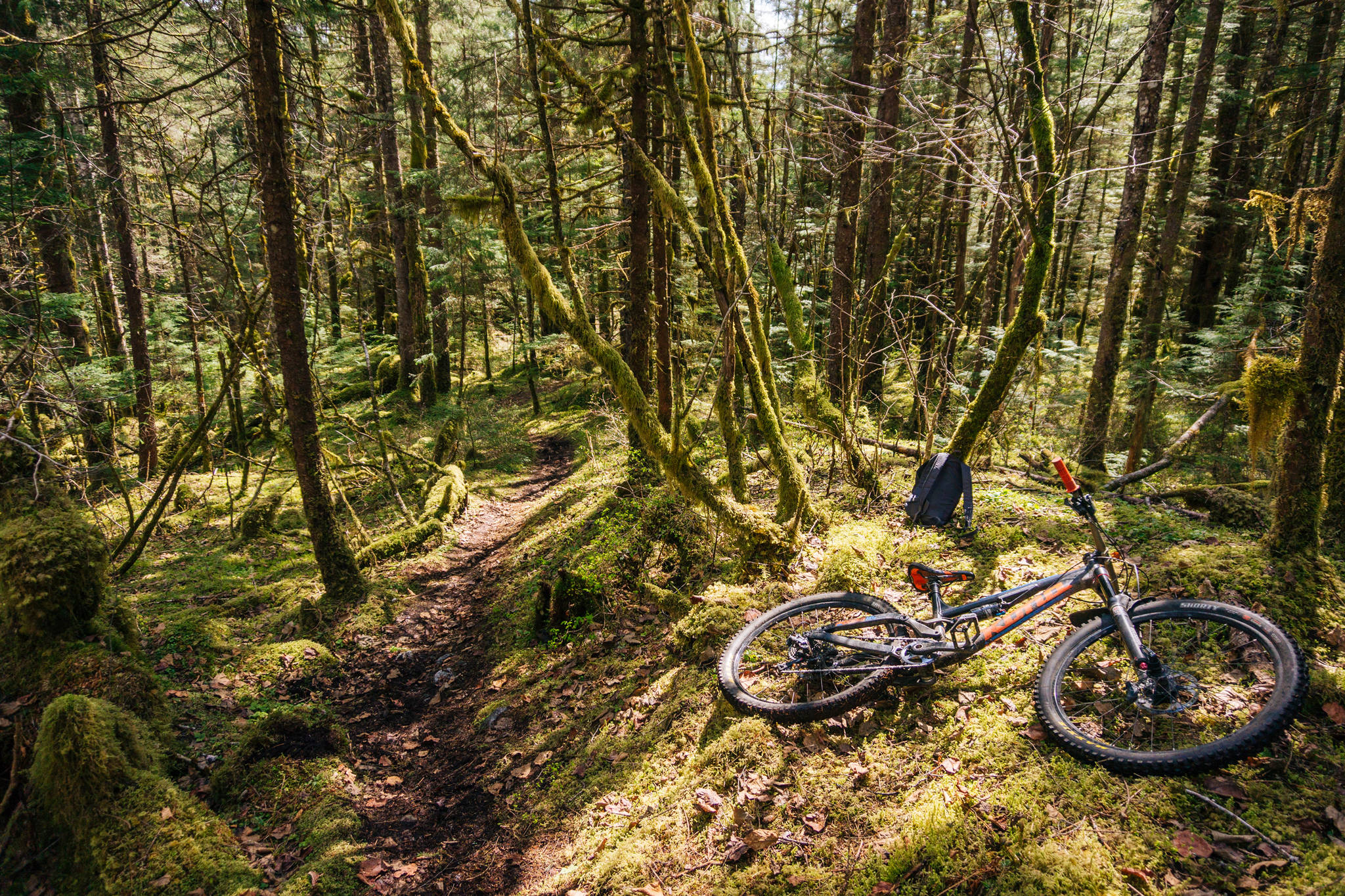 Taking a break. Bike off the side of the trail. (Gabe Donohoe | For the Juneau Empire)