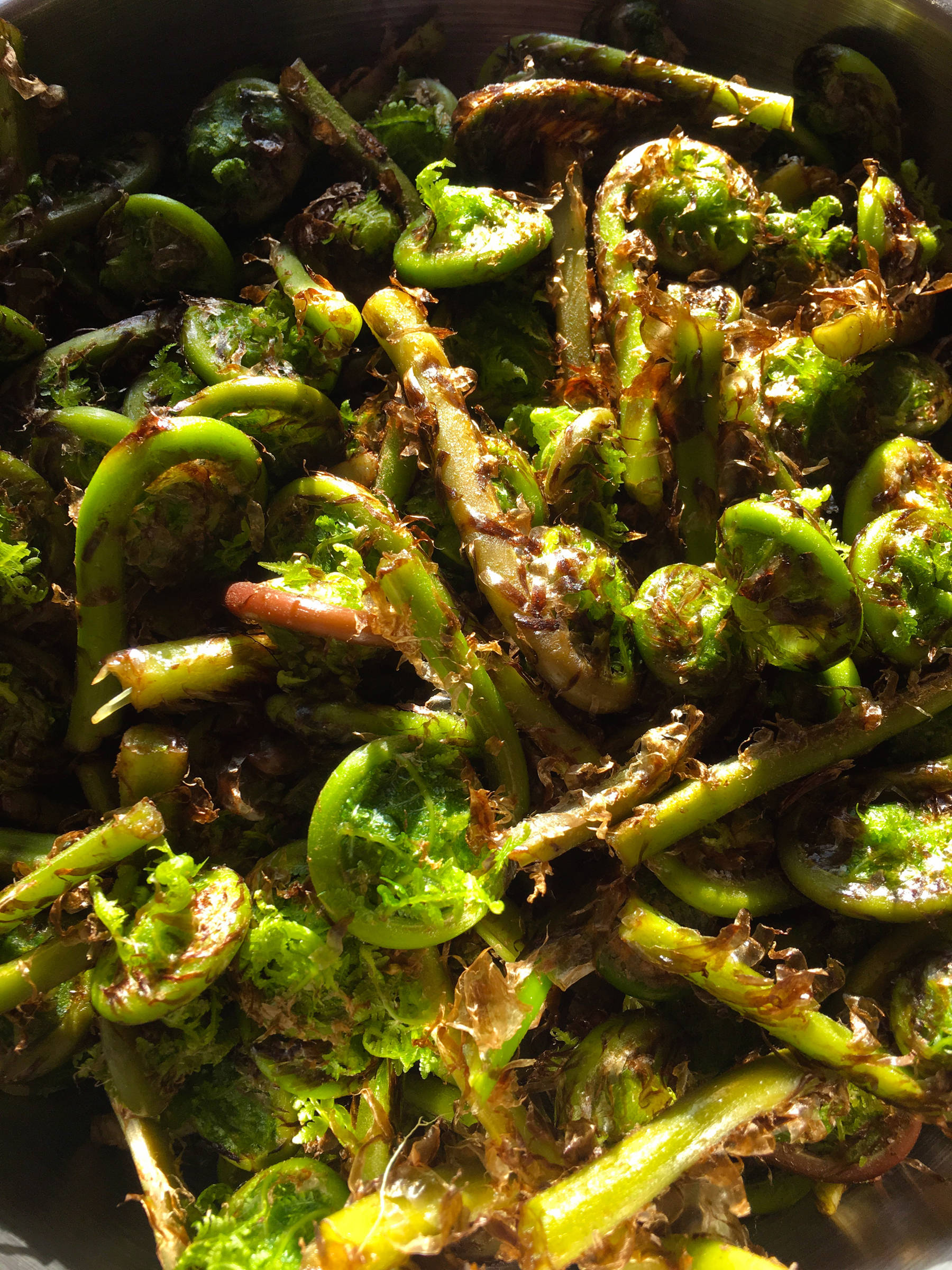 Fresh-picked fiddleheads before cleaning. (Erin Anais Heist | Juneau Empire)
