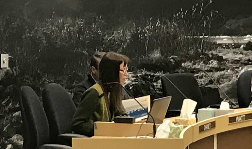 Teri Camery, City and Borough of Juneau Senior Planner at Wetlands Review, goes over the revised flood insurance rate maps during the Committee of the Whole meeting Monday. (Gregory Philson | Juneau Empire)