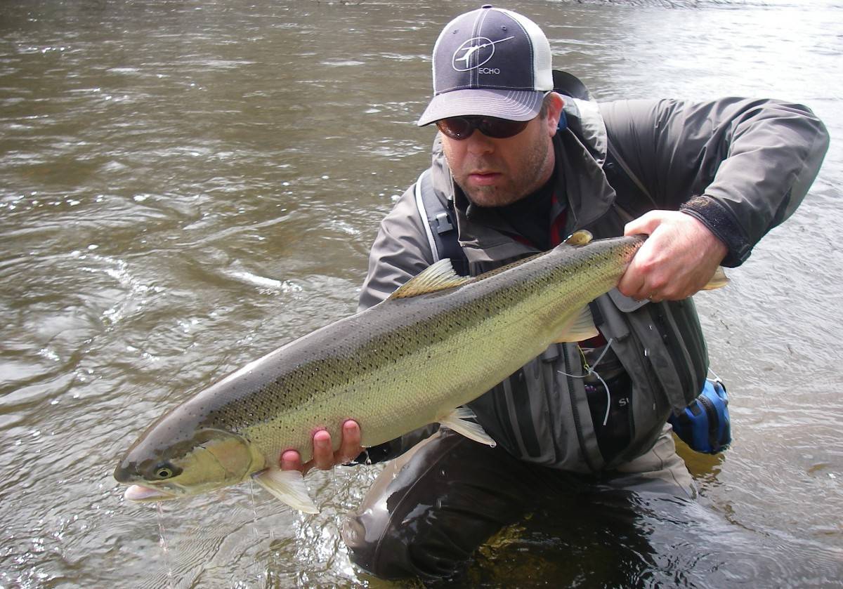 Mark Hieronymus poses with a steelhead caught in 2014 on a Southeast Alaskan river. (Photo by Tyson Fick)