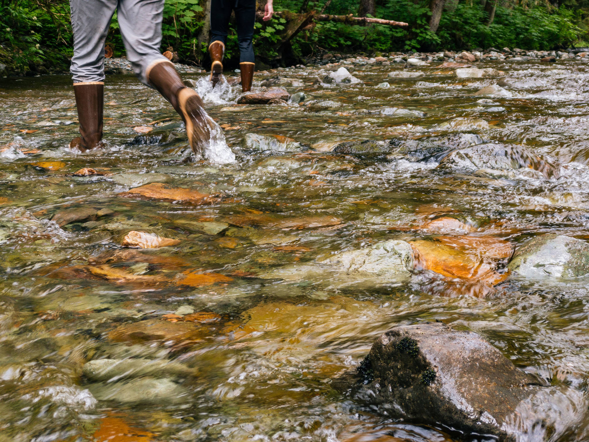 Shallow water rushes by as we cross the creek. (Photo by Gabe Donohoe)