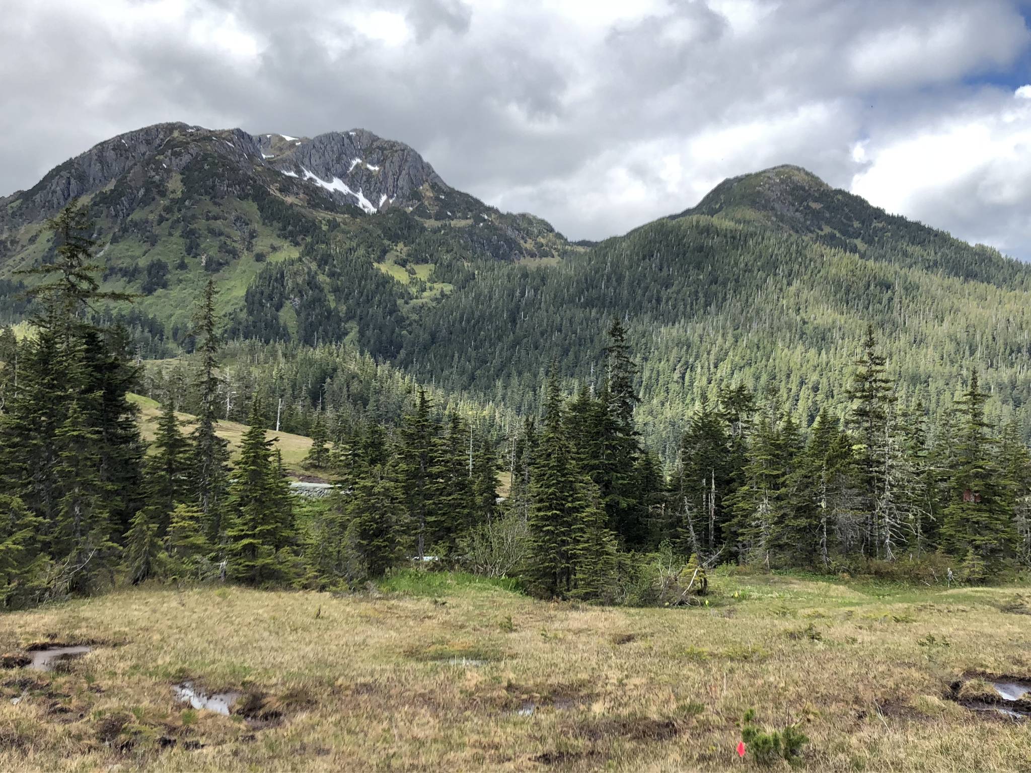 The proposed site of a new public access cabin at Eaglecrest Ski area lies about a mile from the parking lot, near the Upper Nordic Loop. (Photo courtesy Dave Scanlan)