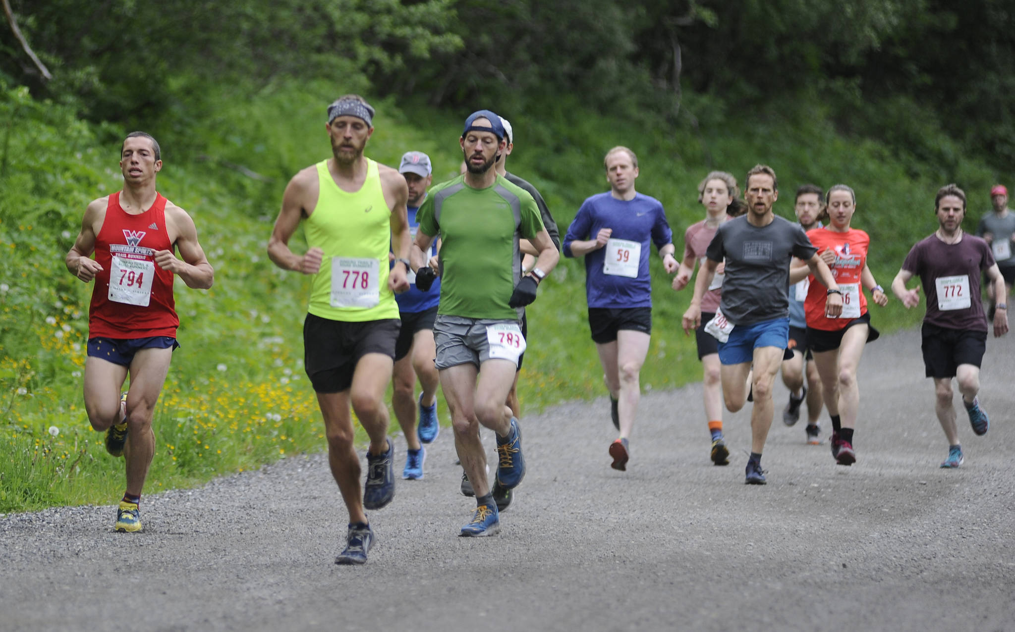 Seth Rutt (yellow singlet) leads a pack of runners on Basin Road during the start of the Perseverance Trail Run/Ben Blackgoat Memorial on Saturday. Rutt finished the 7-mile course in second place behind Allan Spangler (not pictured). (Nolin Ainsworth | Juneau Empire)