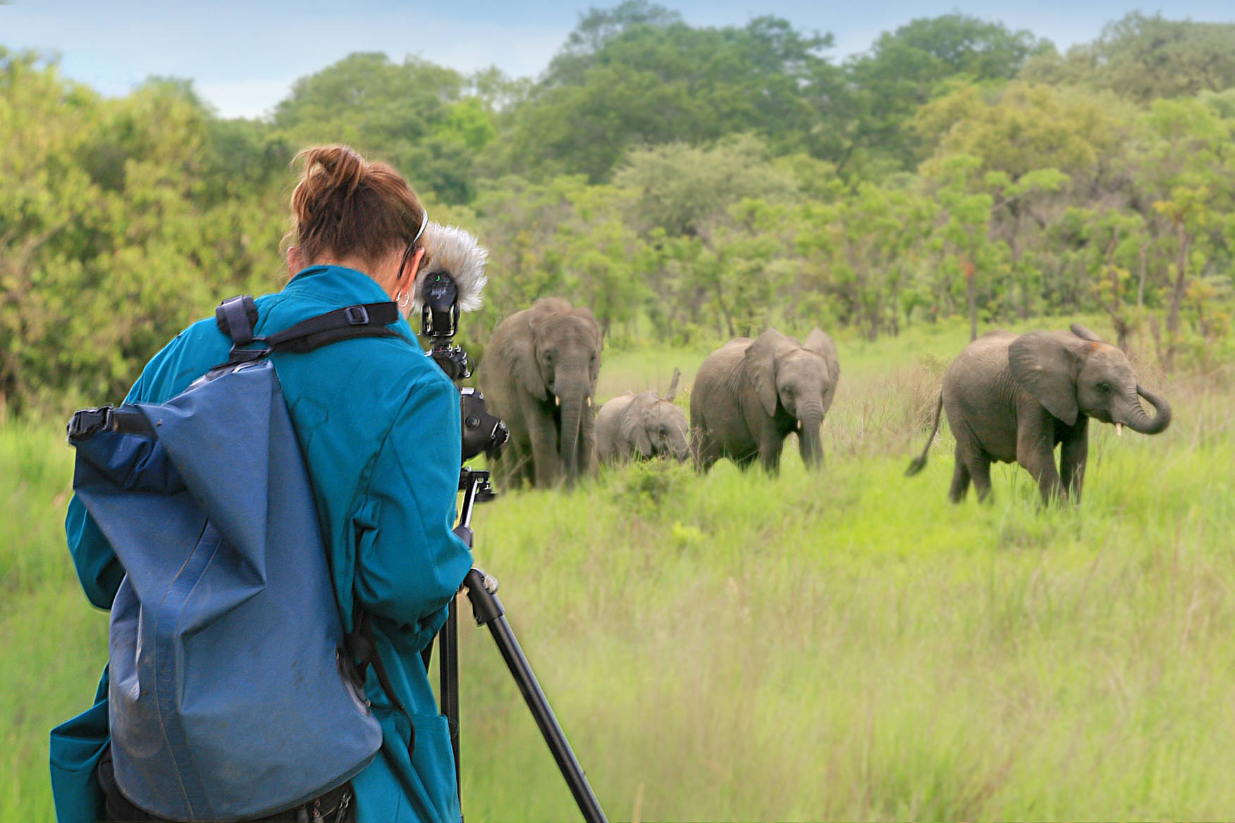 Kelly Bakos filming the orphaned elephants. Photo courtesy of Kelly Bakos.