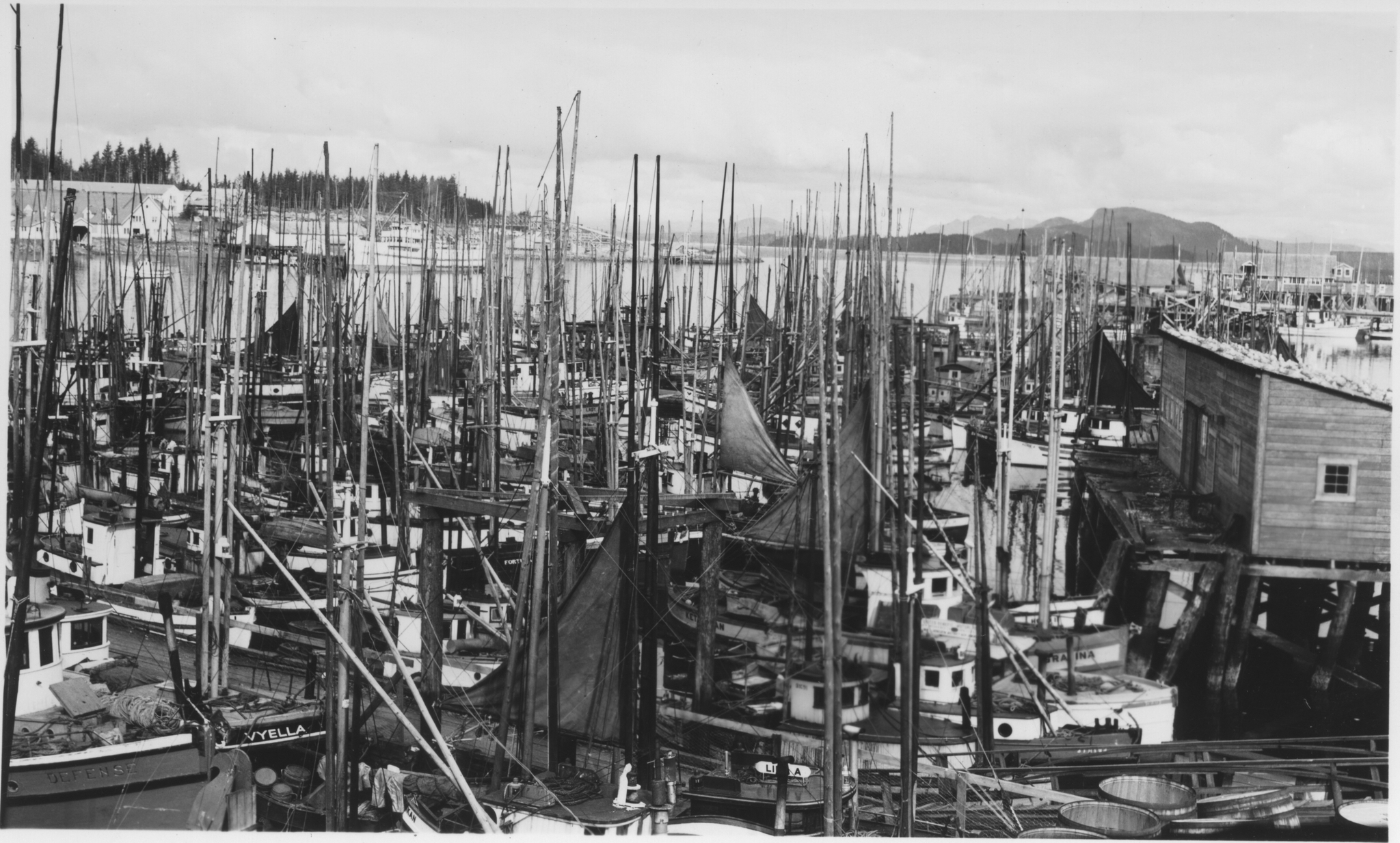 Fishing boats in a Sitka Harbor. Courtesy of The Sitka History Museum.