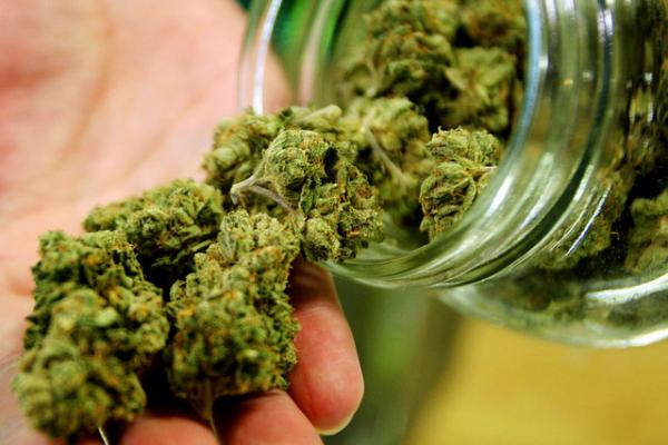 An Assembly work session on Monday evening put an end to plans to send marijuana ordinance back to the Community Development Department.