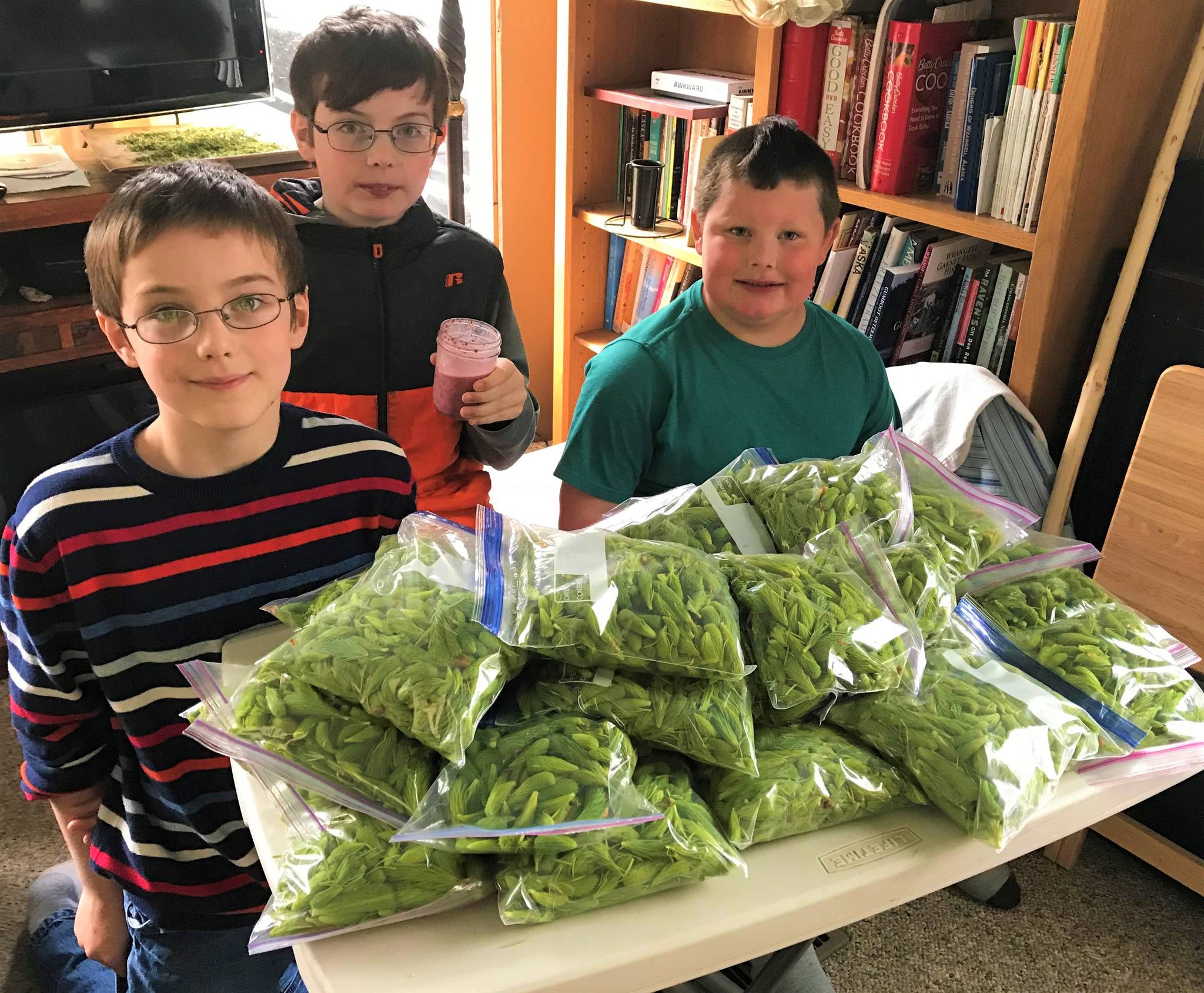 Prescott’s grandsons stand by bagged spruce tips. Vivian Faith Prescott | For the Capital City Weekly