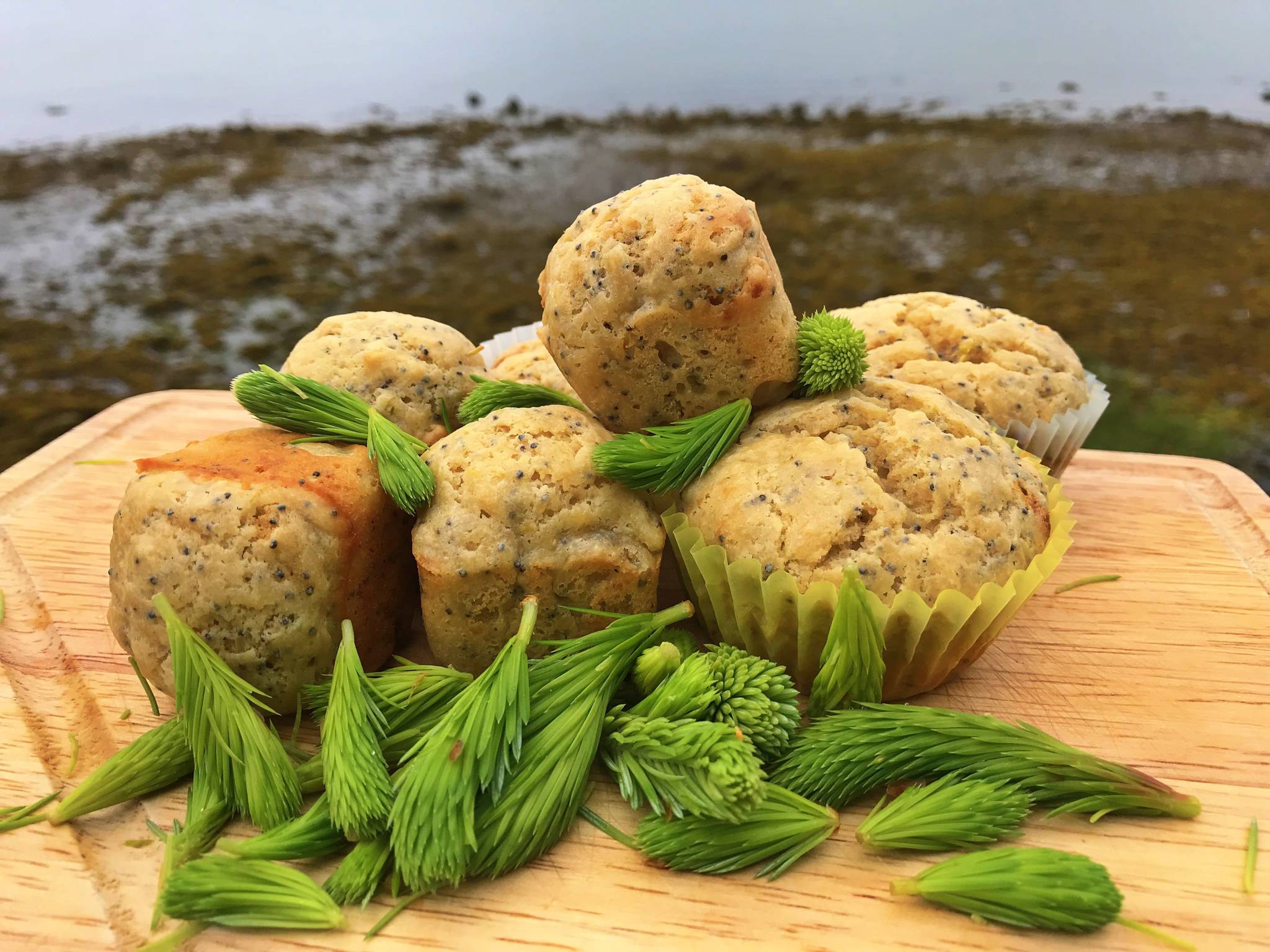 Spruce tip poppyseed muffins. Vivian Faith Prescott | For the Capital City Weekly
