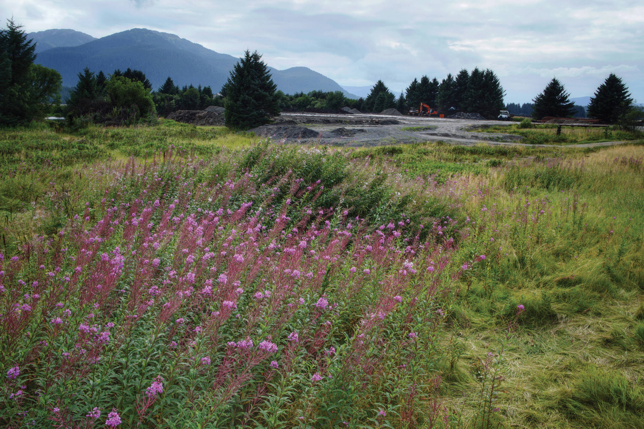 More permits filed to develop Field of Fireweed