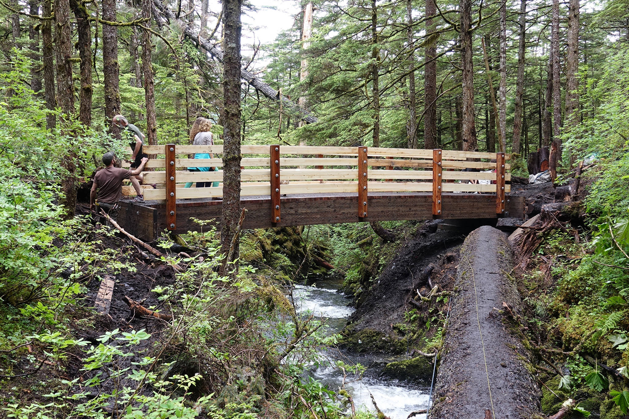 A completed bridge across Paris Creek on the Treadwell Ditch Trail on Wednesday, July 12, 2017. (Courtesy Photo | Jack Kreinheder)