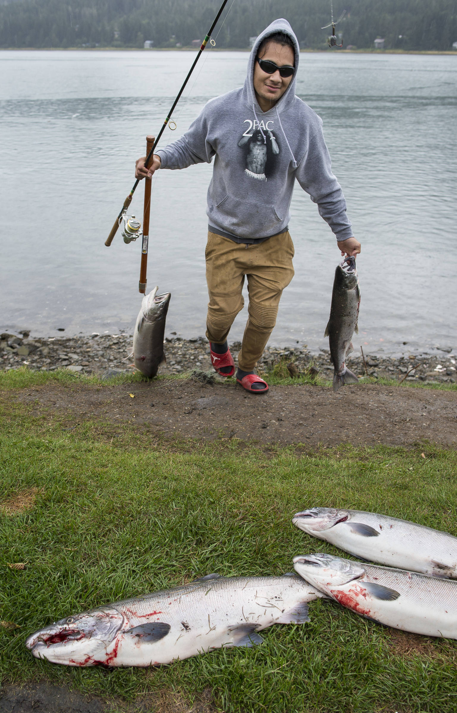 Mamba Tuiqalau hauls up his catch of coho salmon at the Wayside Park on Channel Drive on Friday, Sept. 7, 2018. The Alaska Department of Fish and Game has increased the limit to 12 coho salmon in the designated saltwater hatchery sport harvest area due to the large number of returning hatchery coho salmon in excess of broodstock needs. (Michael Penn | Juneau Empire)