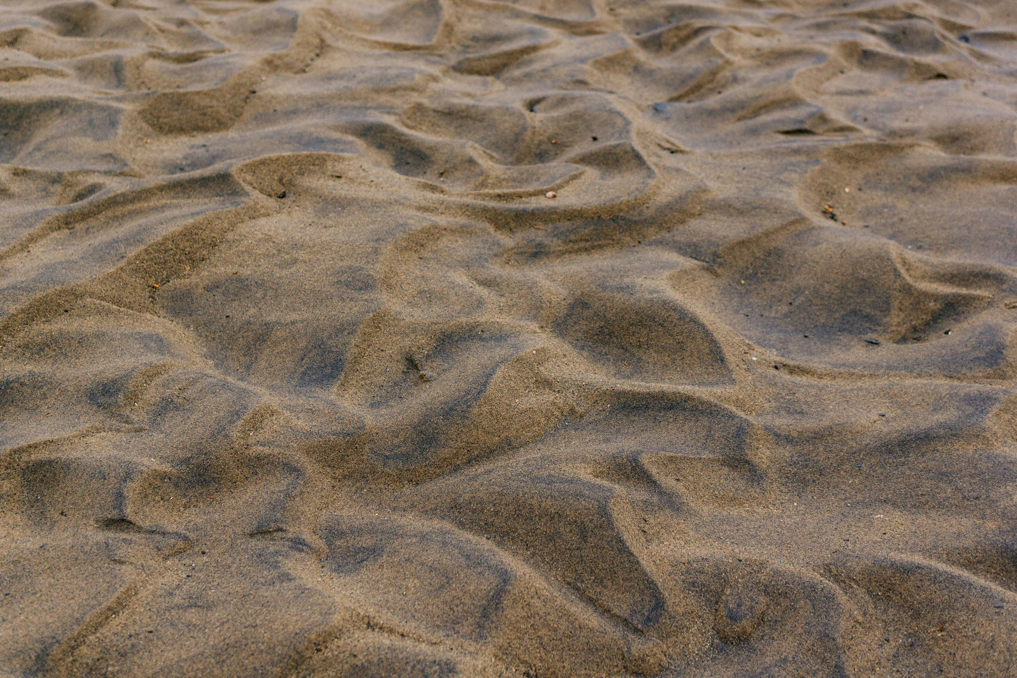 Waves in the sand texture. (Photo by Gabe Donohoe)
