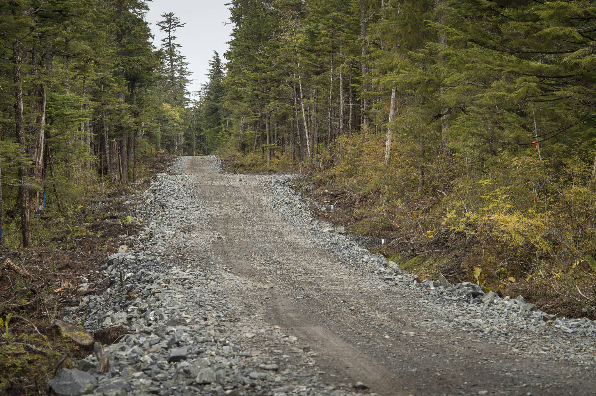 A stretch of the 3.5 mile West Douglas Pioneer Road on Friday, Sept. 28, 2018. (Michael Penn | Juneau Empire)