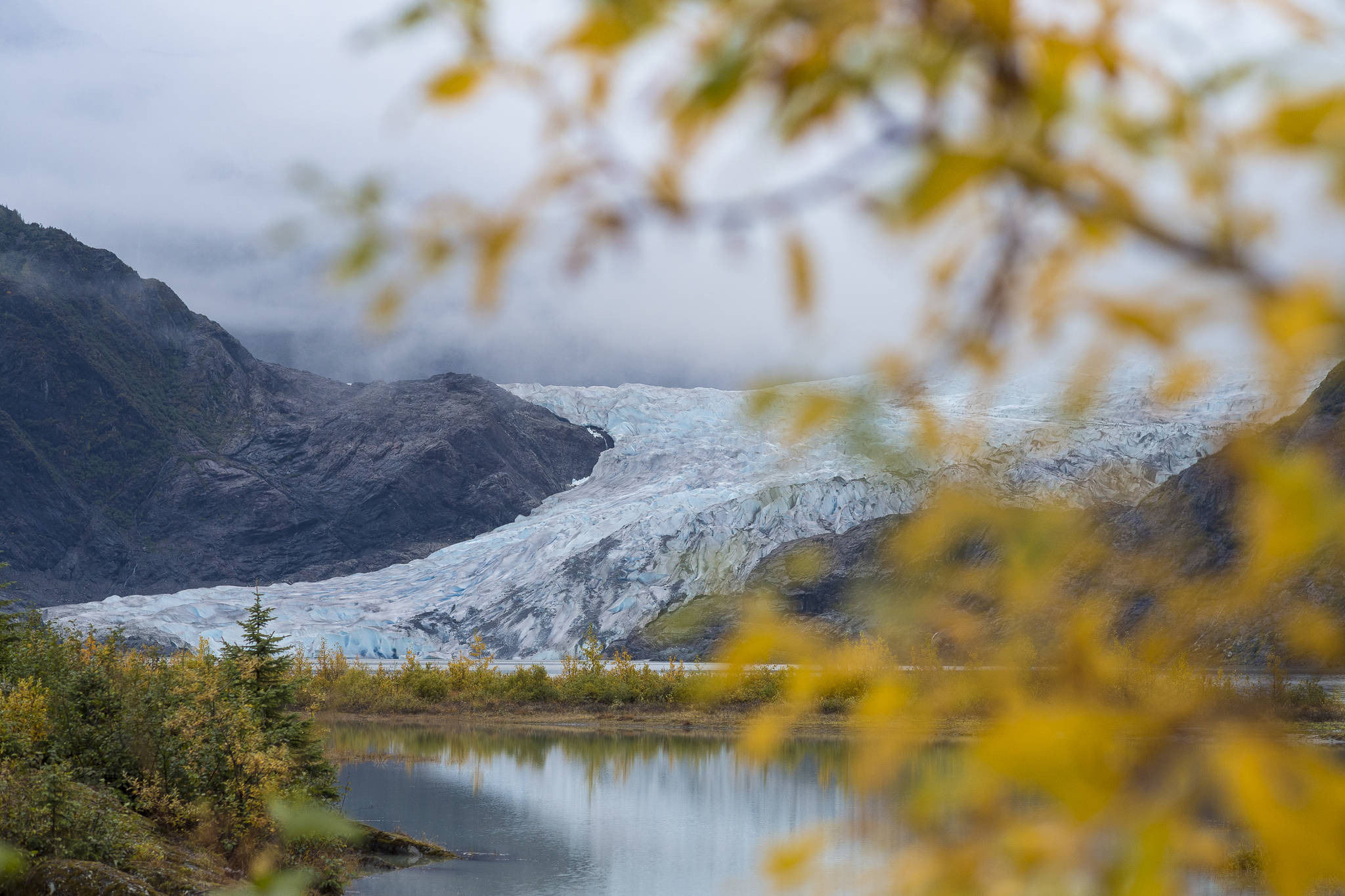 Fall colors are coming to the foliage at the Mendenhall Glacier Visitor Center on Wednesday, Sept. 26, 2018. (Michael Penn | Juneau Empire)