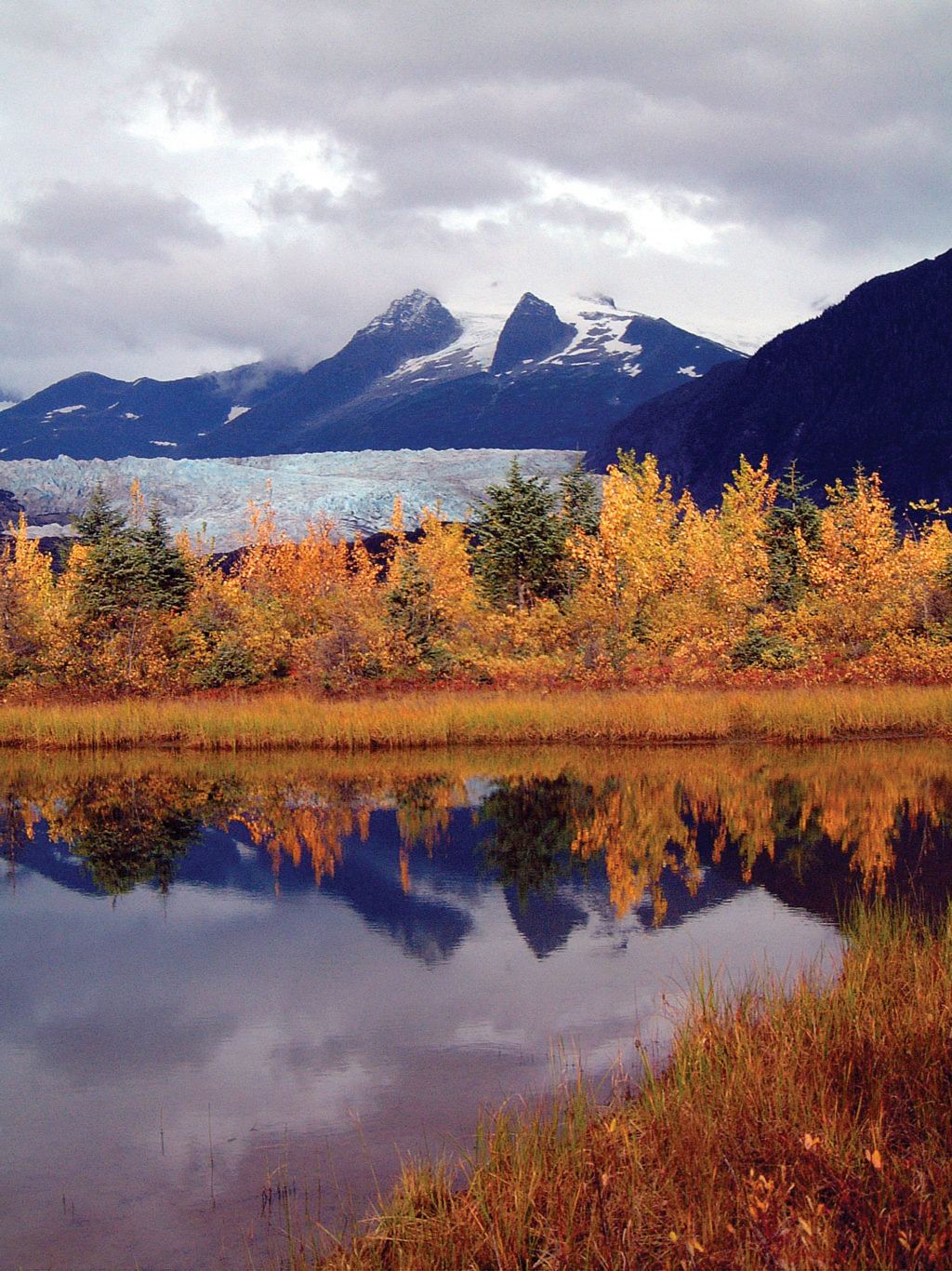 Autumn leaf colors Juneau Empire