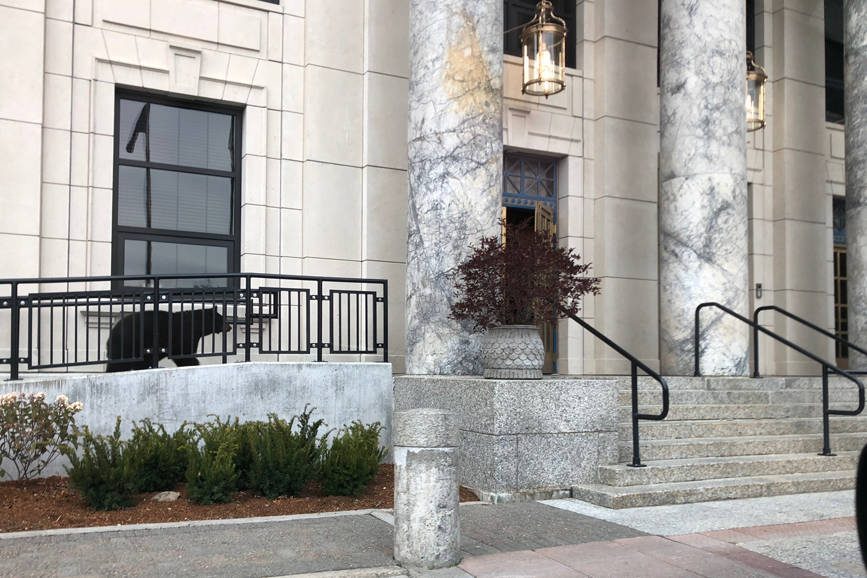 A black bear is seen at the Alaska State Capitol at 4:12 p.m. Thursday in this photo taken by Megan Wallace and provided to the Empire. The bear wandered downtown Juneau at the start of the evening rush hour, lingering outside Dimond Courthouse, the Capitol, Key Bank and a bear statue. (Megan Wallace | Courtesy photo)