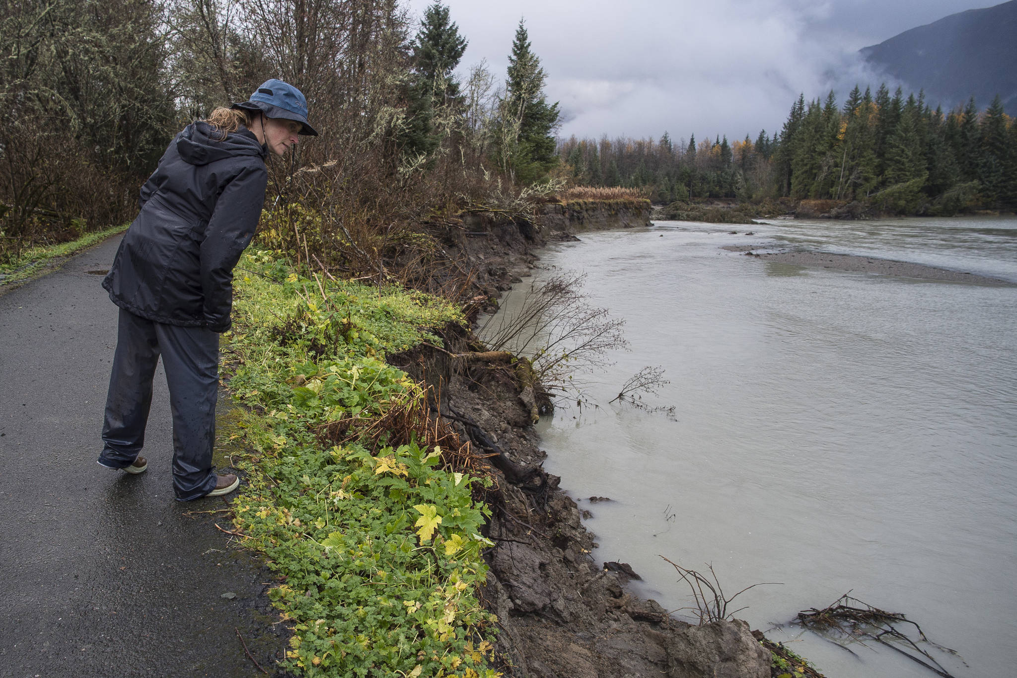Sonia Nagorski, assistant professor of Geology Arts and Sciences at the University of Alaska Southeast, investigates erosion below the broken oxbow along the Mendenhall River on Wednesday, Oct. 17, 2018. The river cut through the meander bend just north of the Brotherhood Bridge last this summer. (Michael Penn | Juneau Empire)