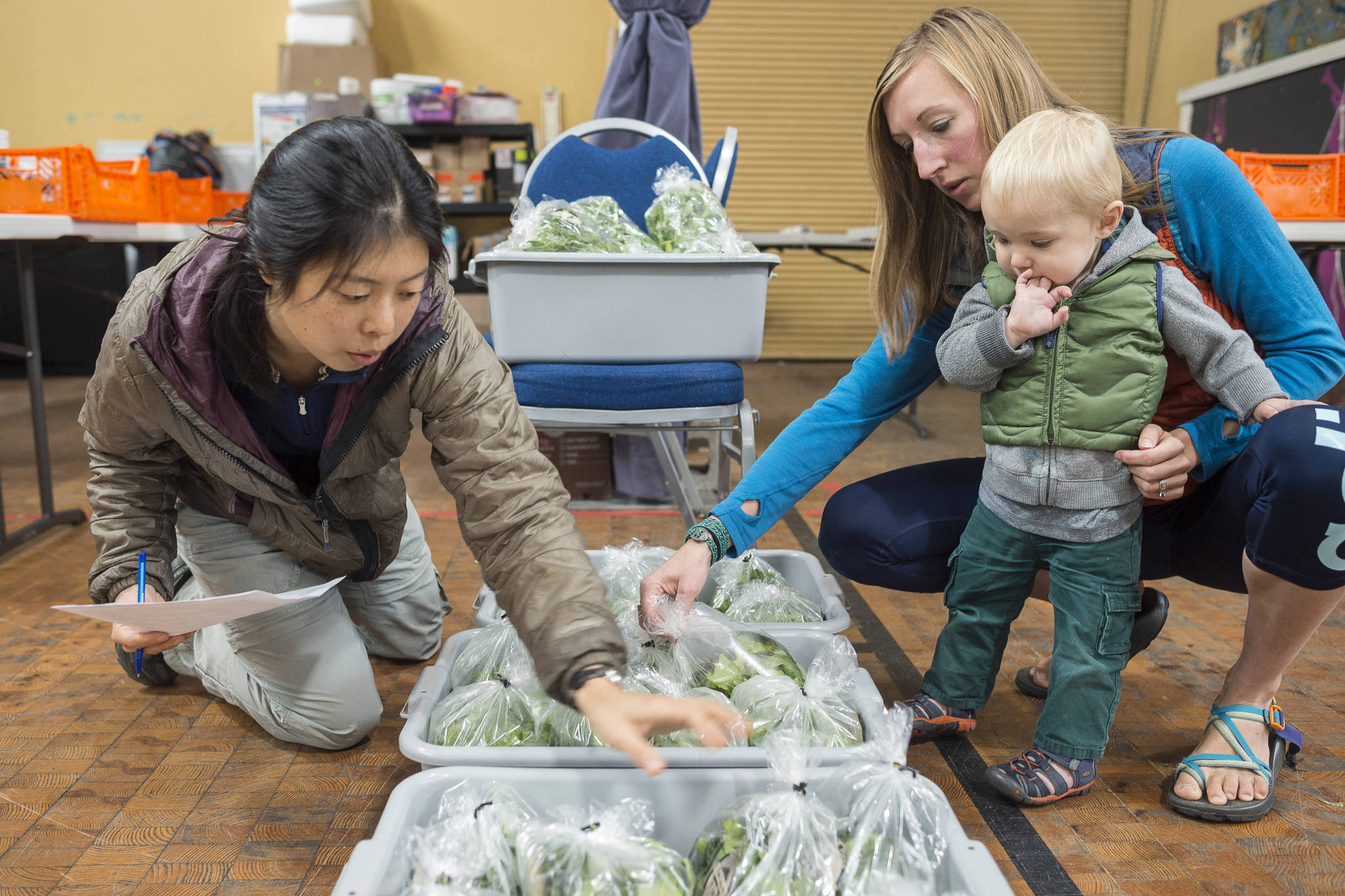 Jennifer Nu, Local Foods Director at Southeast Alaska Watershed Coalition, left, takes inventory of fresh grown greens being delivered by Jackie Ebert, of Nunatak Foods, with her son Oliver, to the Salt & Soil Marketplace location at the Arts & Culture Center on Thursday, Oct. 18, 2018. The nonprofit Salt and Soil Marketplace is staying open this winter and will offer a new Valley location to pick up Southeast-grown foods. (Michael Penn | Juneau Empire)