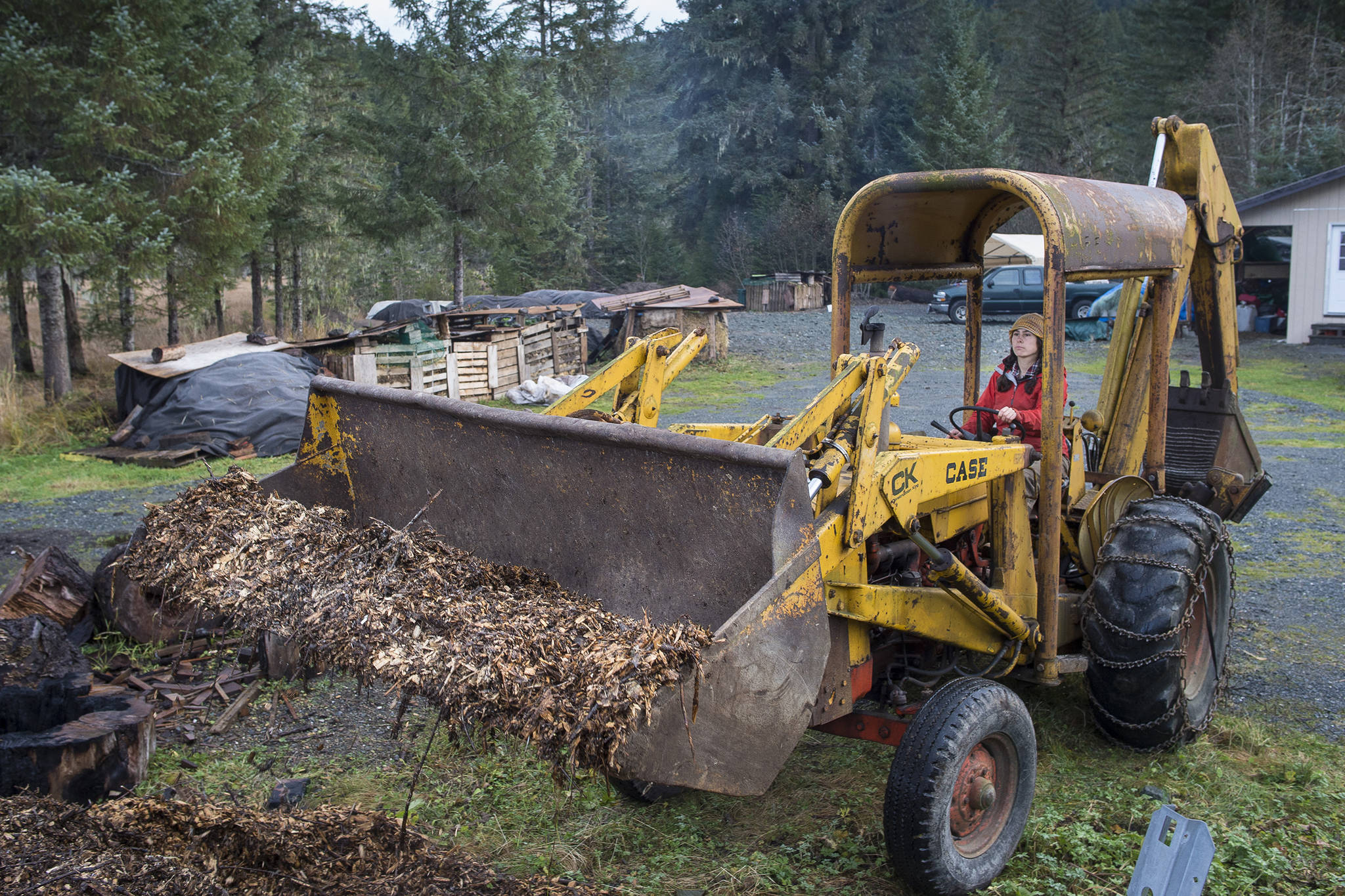 Lisa Daugherty, owner of Juneau Composts!, uses a front-end loader to move wood chips to used in her year-old business on Wednesday, Oct. 24, 2018. Currently located out the road near mile 25, Daugherty is working to lease city land in the Lemon Creek area to expand her business. (Michael Penn | Juneau Empire)