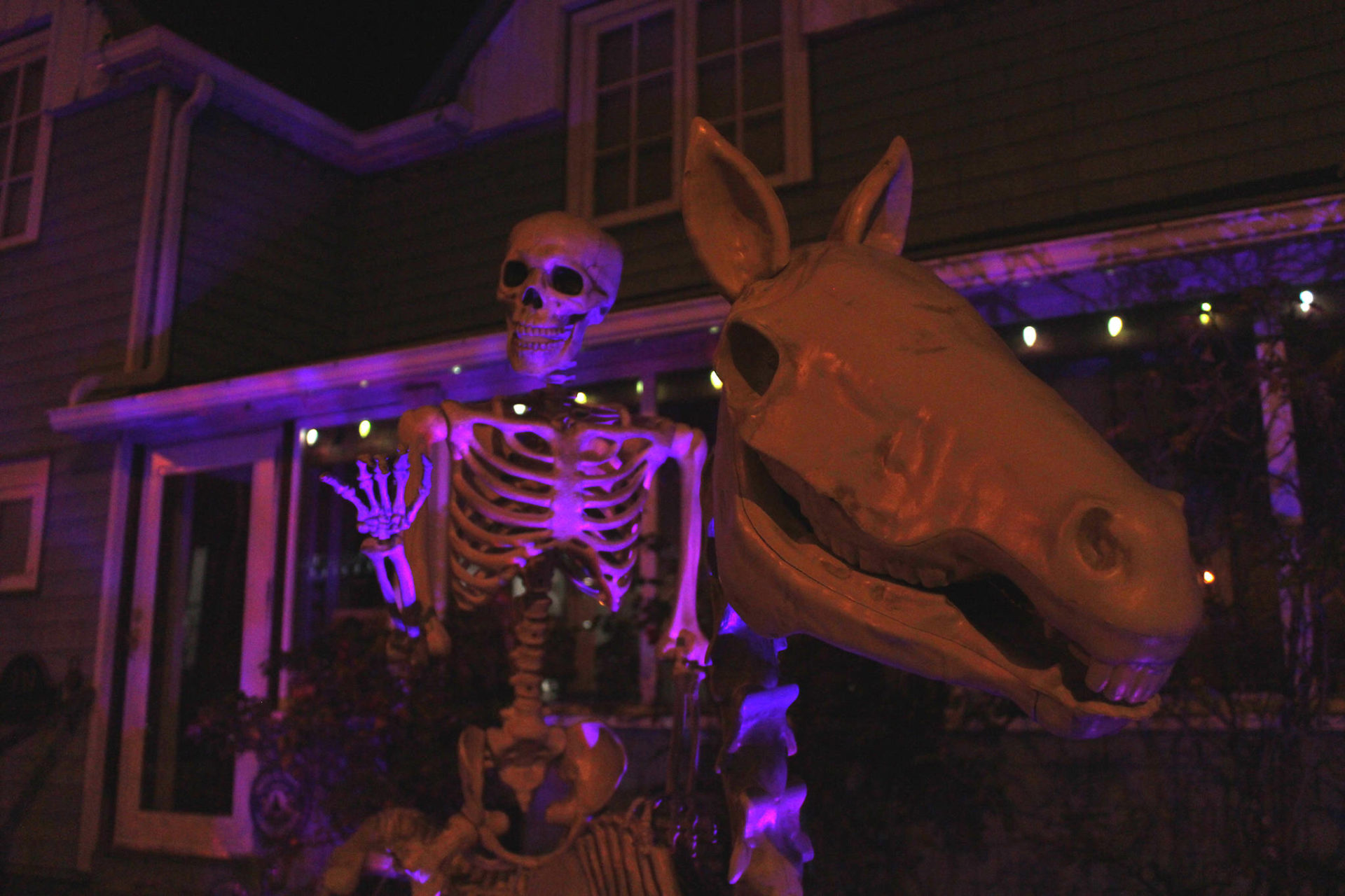 Family continues tradition of scaring neighbors with haunted basement