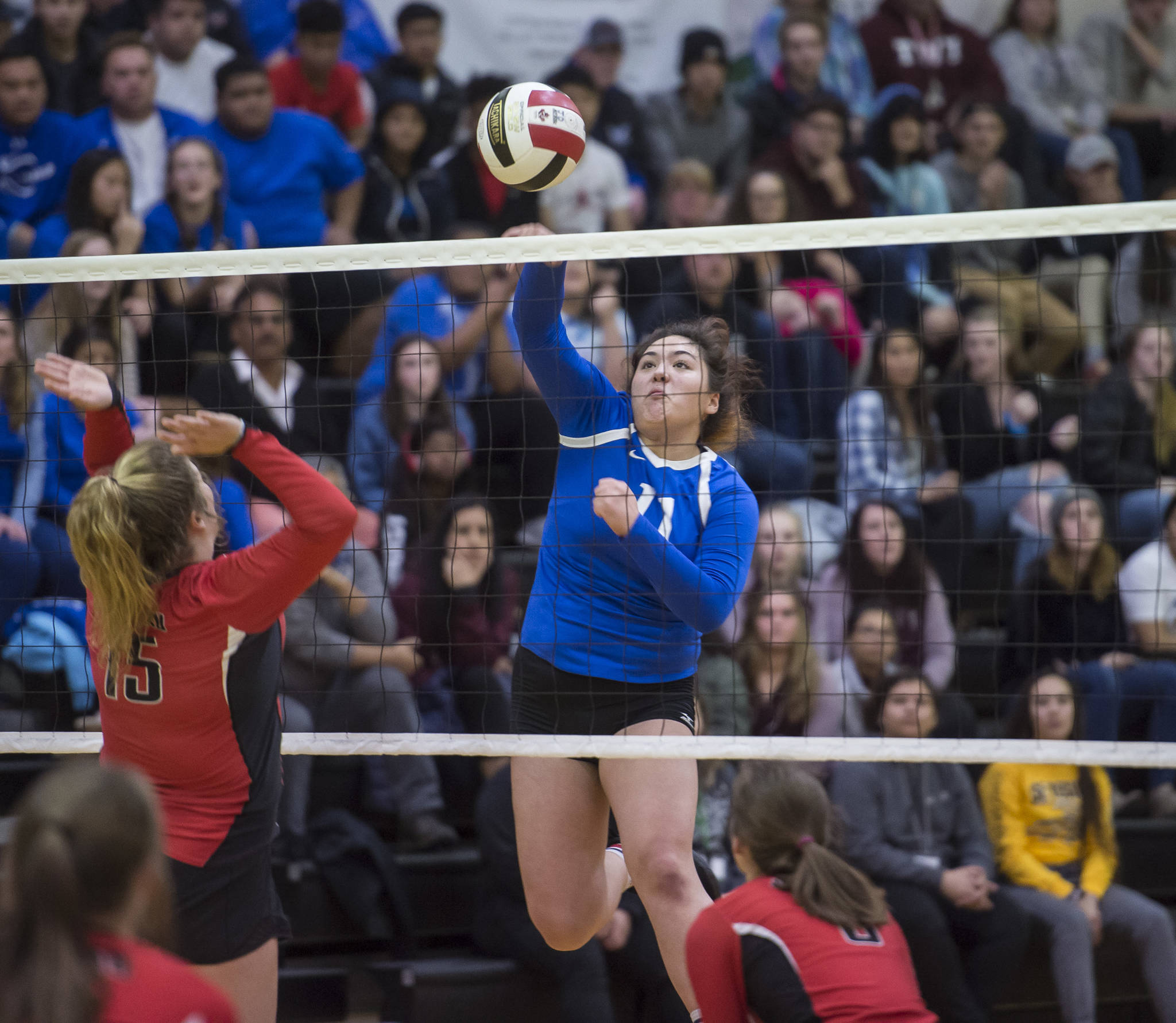 Thunder Mountain’s Tasi Fenumiai spikes the ball against Juneau-Douglas during the second round of the Region V Volleyball Championships at JDHS on Friday, Nov. 2, 2018. TMHS won 3-1 (25-20, 25-10, 16-25, 25-21). (Michael Penn | Juneau Empire)