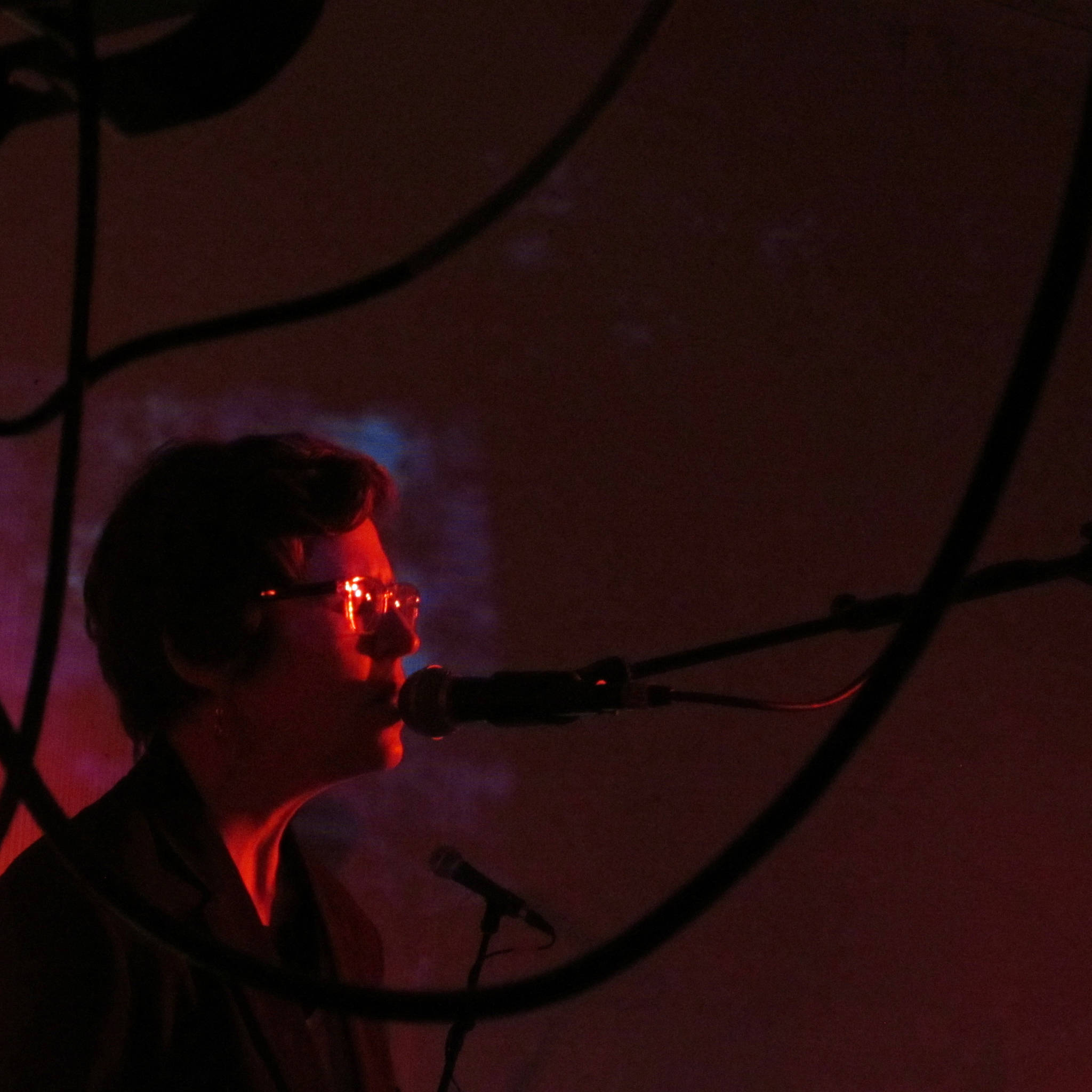 Bridget Kuhar of Playboy Spaceman, sings while framed by wires during the annual Skull Party Friday night at the Rockwell Ballroom. (Ben Hohenstatt | Capital City Weekly)