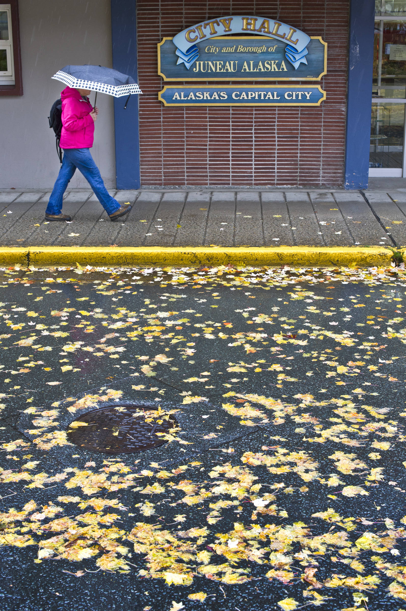 In this October 2015 file photo, Maple leaves fall on Seward Street as a pedestrian ducks Friday’s rain in front of City Hall. (Michael Penn | Juneau Empire file)