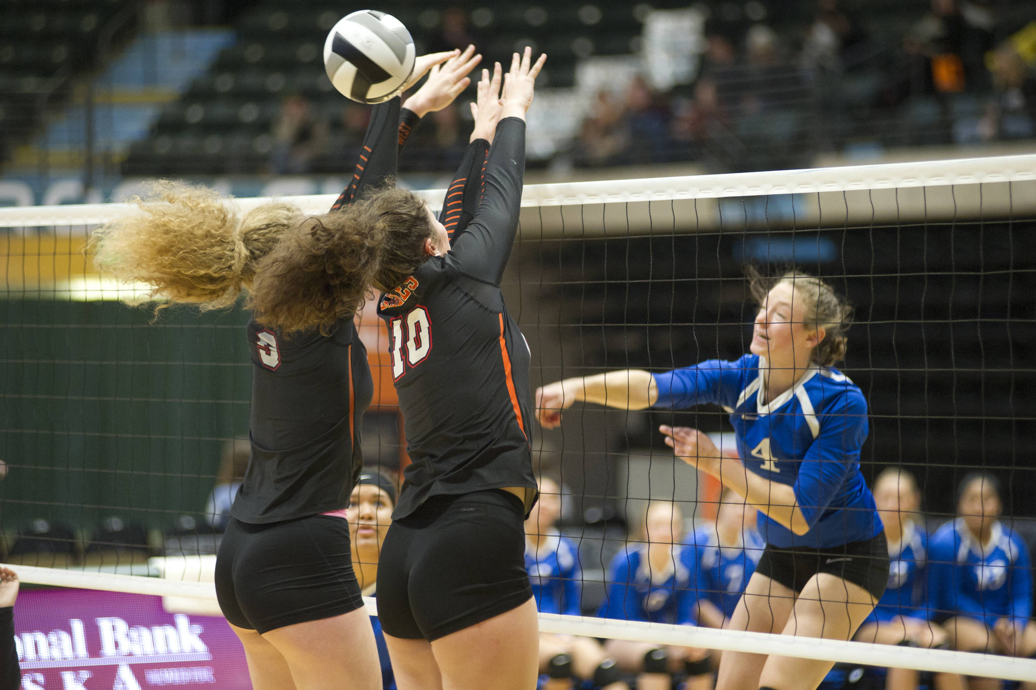 Thunder Mountain High School sophomore Sophia Harvey spikes the ball in between West Anchorage’s Danika Brown, left, and Kathleen Dexter in the first round of the ASAA/First National Bank Alaska 3A/4A Volleyball State Championships on Thursday at the Alaska Airlines Center in Anchorage. (Nolin Ainsworth | Juneau Empire)