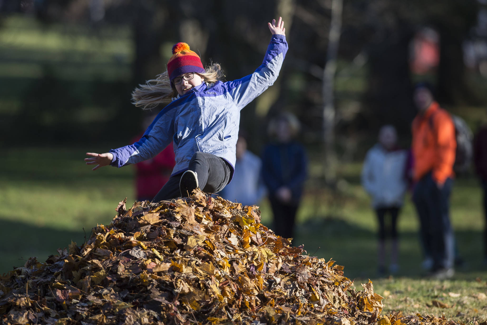 Juneau Community Charter School seventh-graders Meadow Stanley, left, Jade Hicks, Maisy Morley and Cedar Corteau, right, play in a pile of dry leaves during a outing at Evergreen Cemetery on Tuesday, Nov. 6, 2018. Retired teacher Linda Torgerson organizes the leaf jump every year which allows local students the fall activity. (Michael Penn | Juneau Empire)