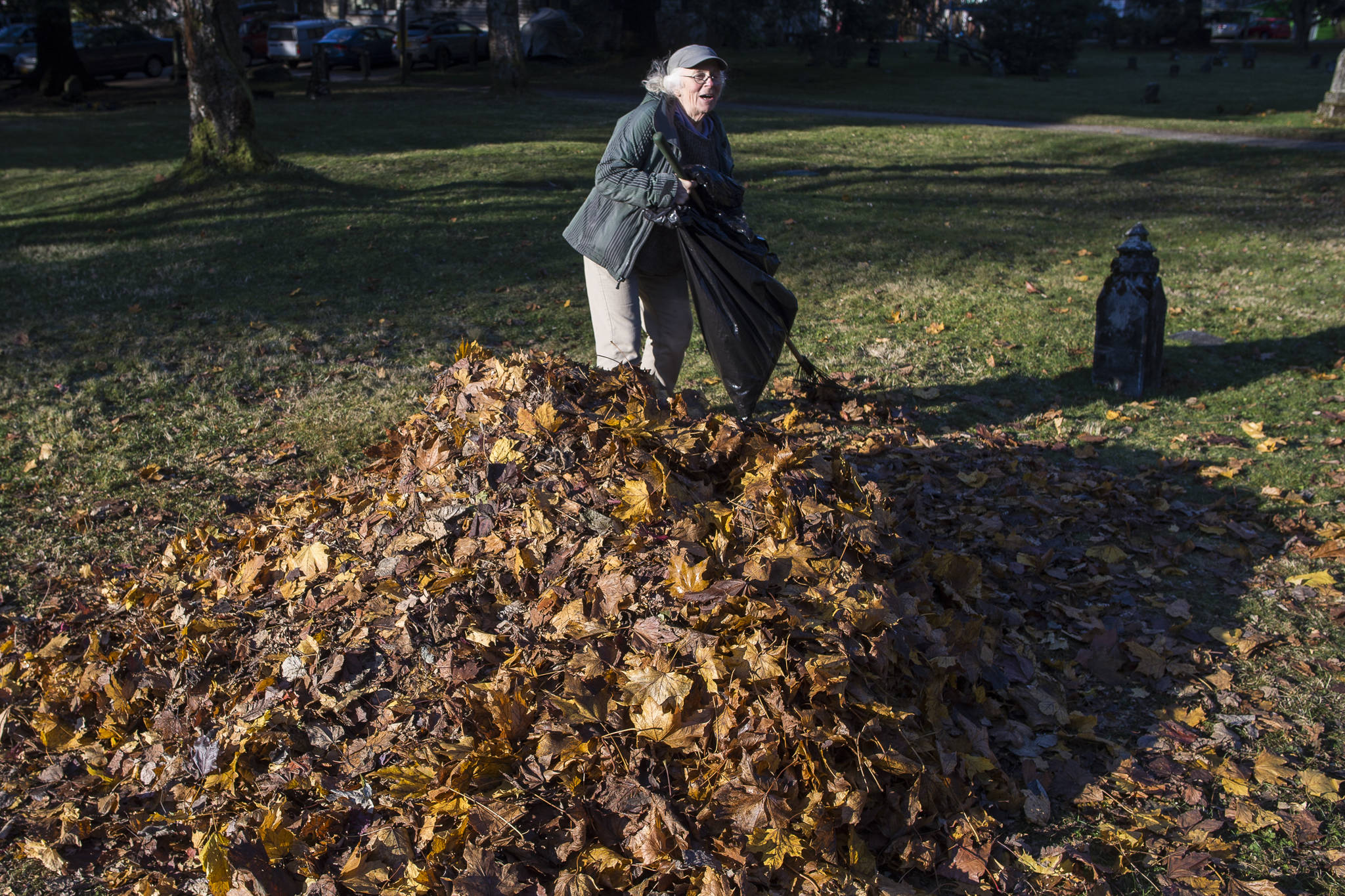 Retired teacher Linda Torgerson rakes dry leaves back into a pile at Evergreen Cemetery on Tuesday, Nov. 6, 2018. Torgerson organizes the leaf jump every year which allows local students the fall activity. (Michael Penn | Juneau Empire)