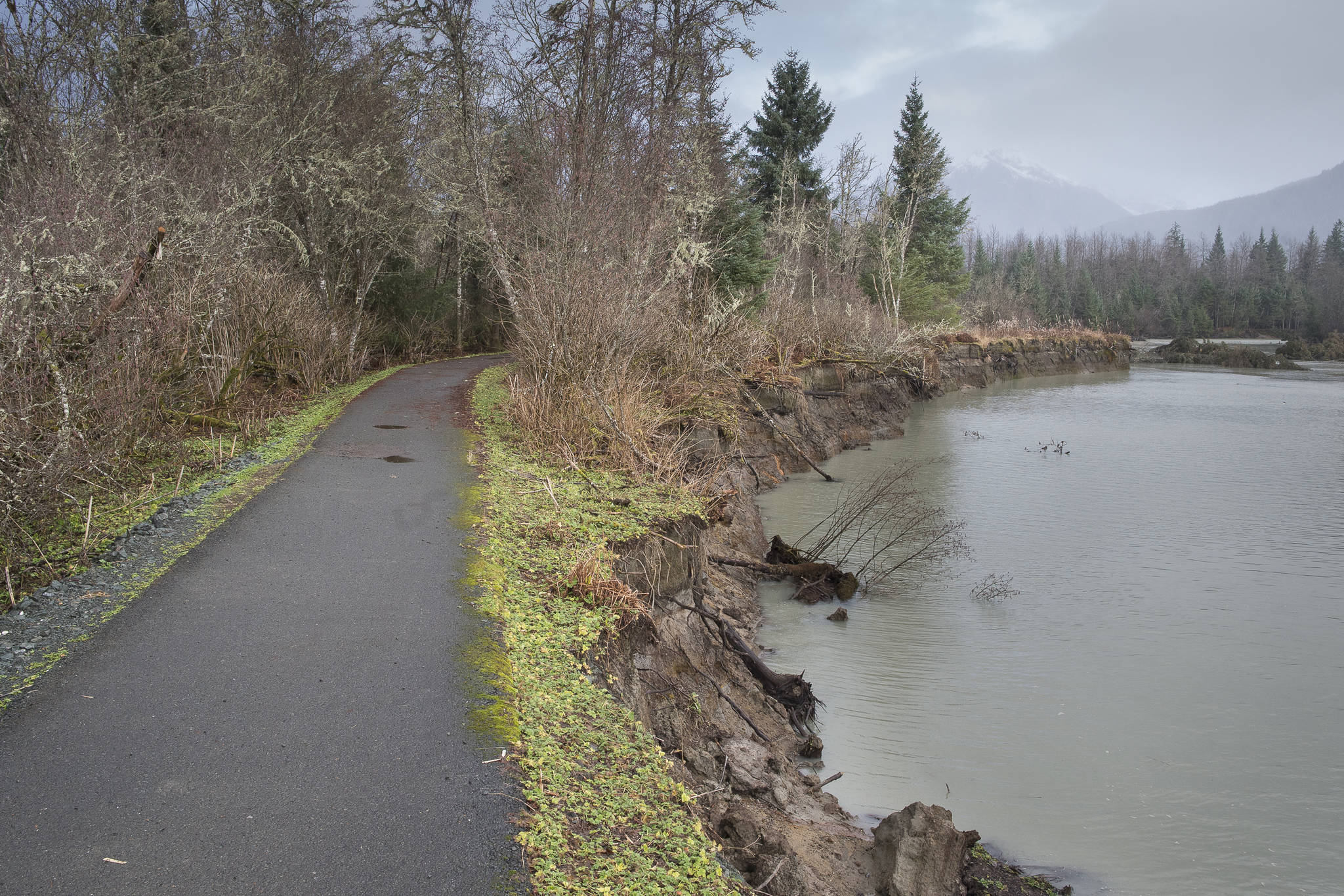 The Kaxdegoowu Heen Dei (Brotherhood Bridge) Trail is close to being eroded away by the Mendenhall River on Monday, Nov. 26, 2018. (Michael Penn | Juneau Empire)