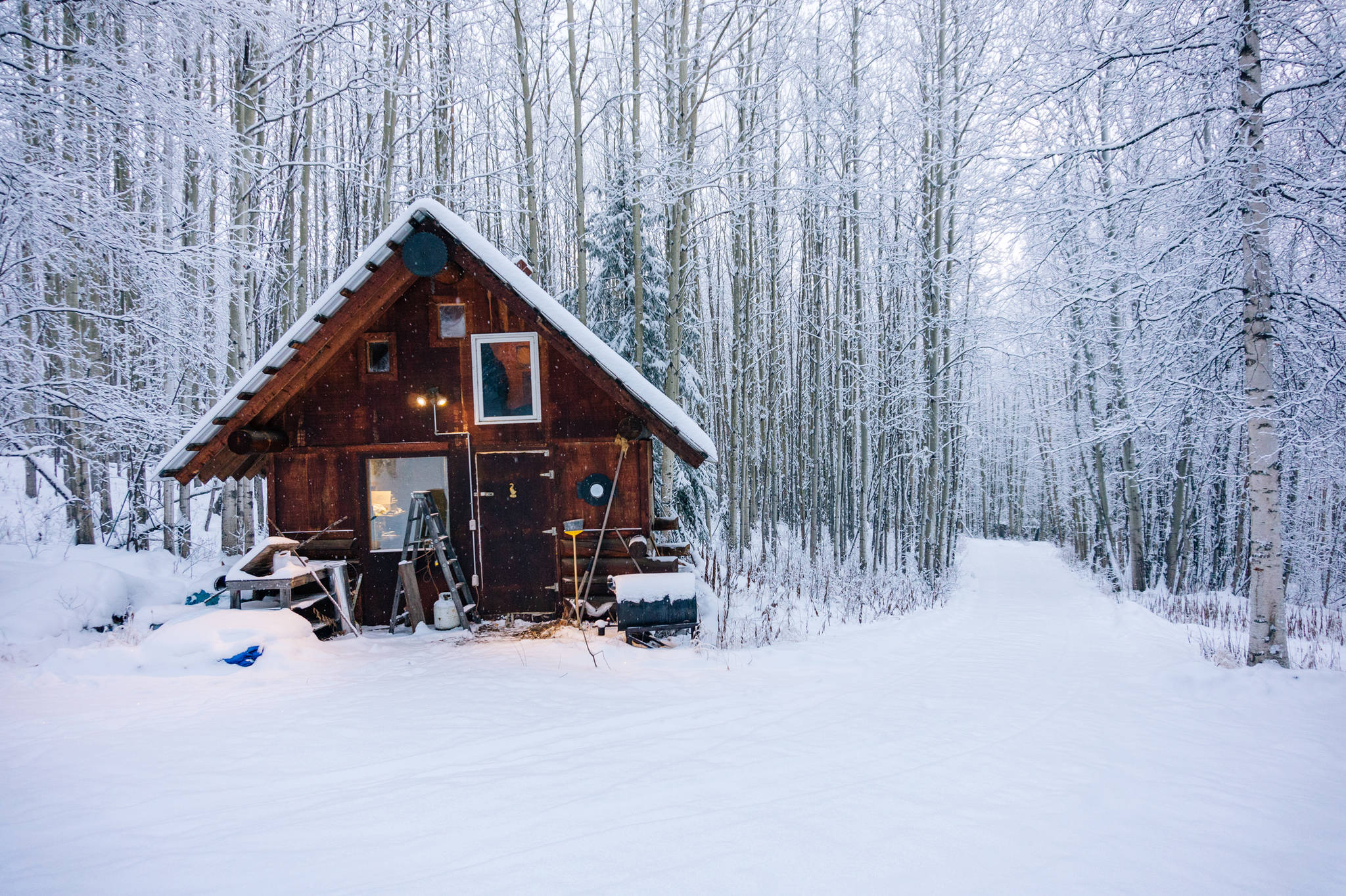 Goldstream dry cabin in morning light and snowfall. (Gabe Donohoe | For the Juneau Empire)