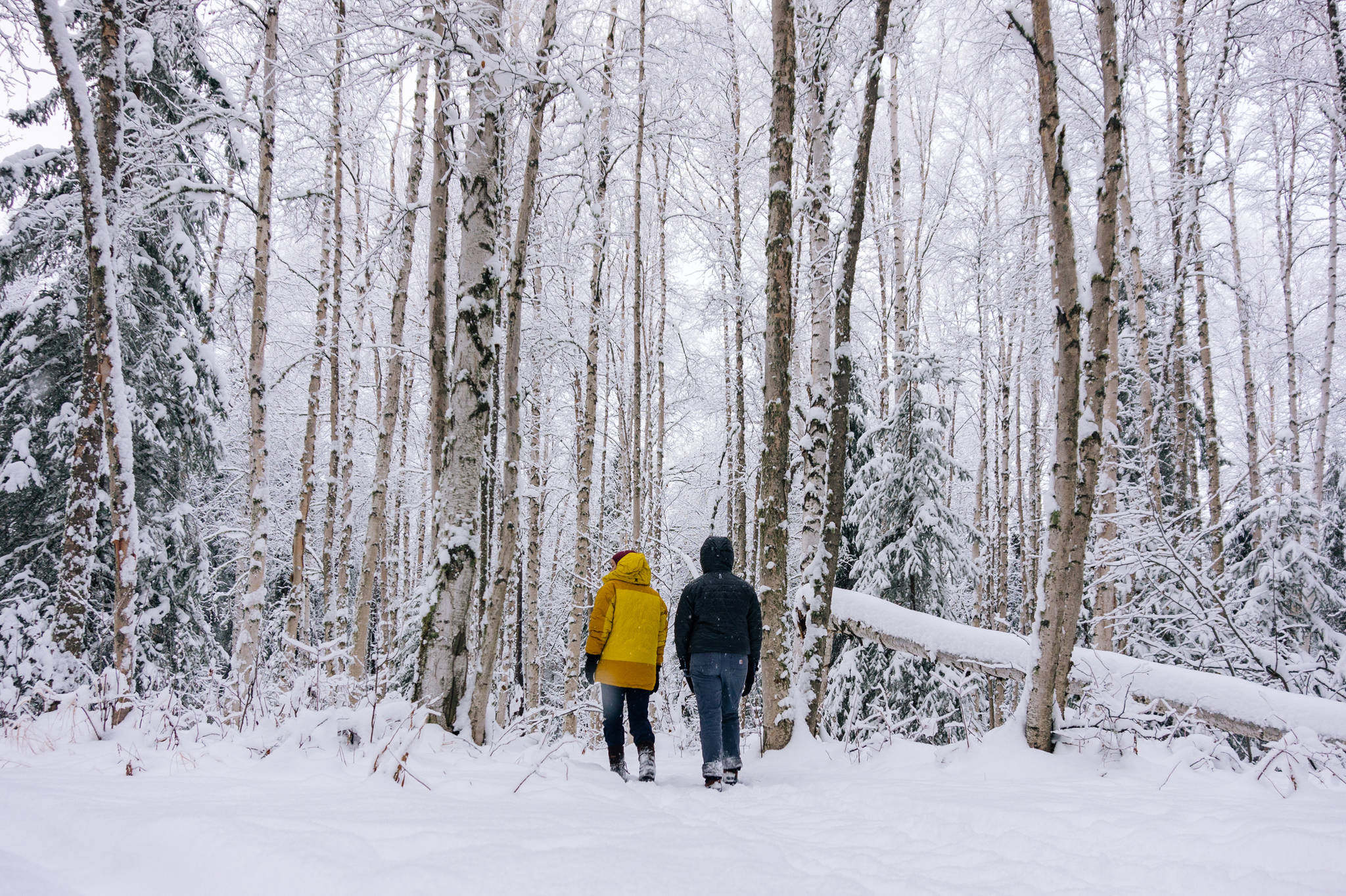 Katie and Claire out for a morning walk in the woods on an unmarked trail. (Gabe Donohoe | For the Juneau Empire)