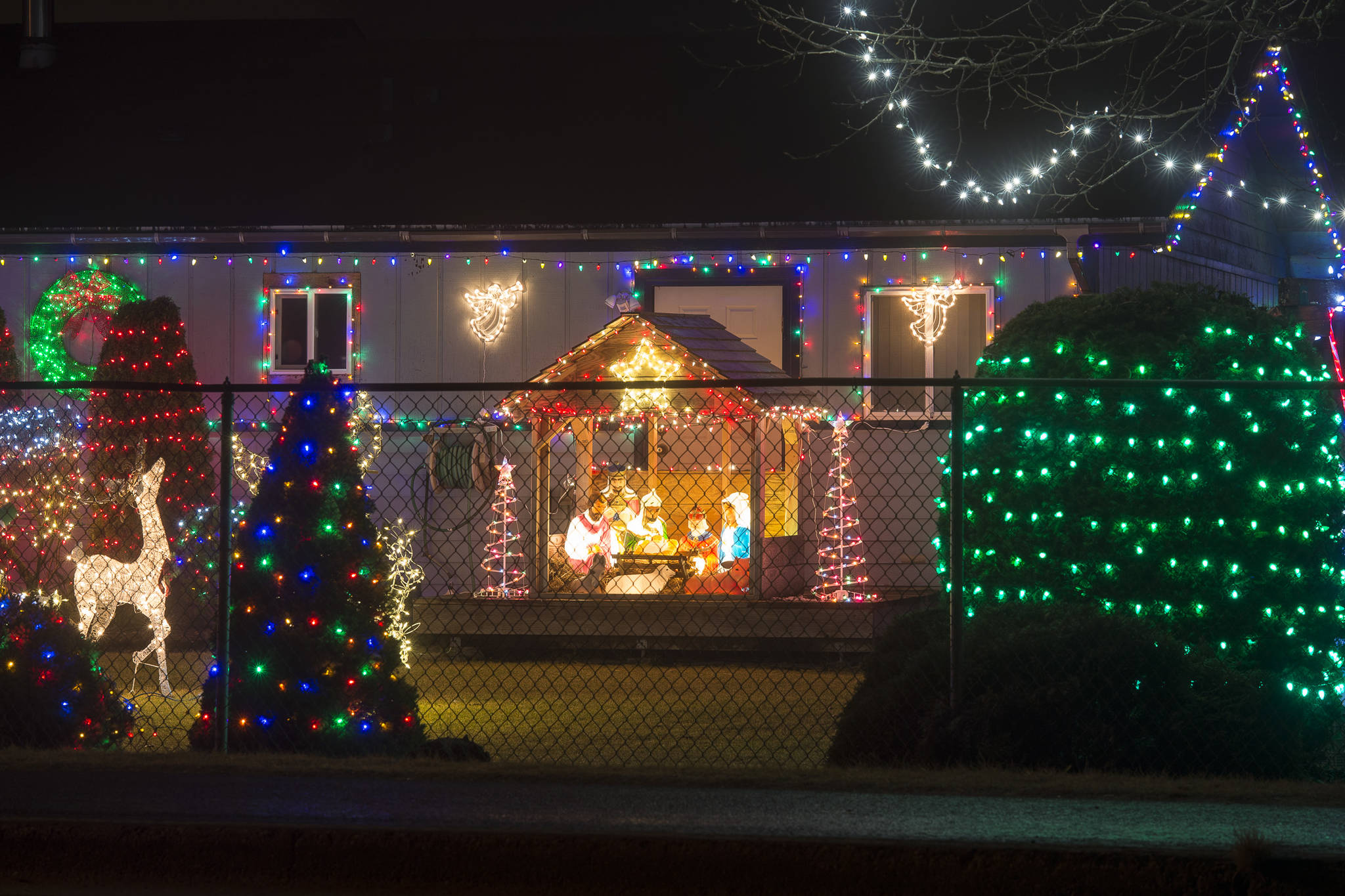 Holiday lights seen around Juneau this season. (Michael Penn | Juneau Empire)