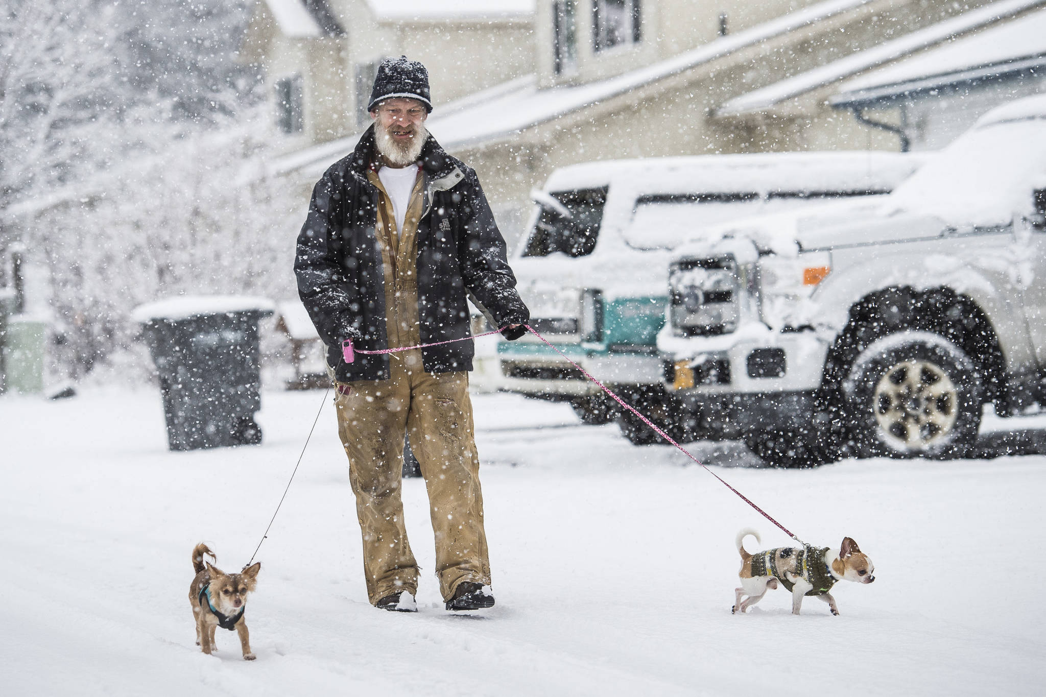 Fred Shewey walks his two teacup chihuahuas, Bella, left, and Blaze, during snow on Thursday, Dec. 13, 2018. (Michael Penn | Juneau Empire)