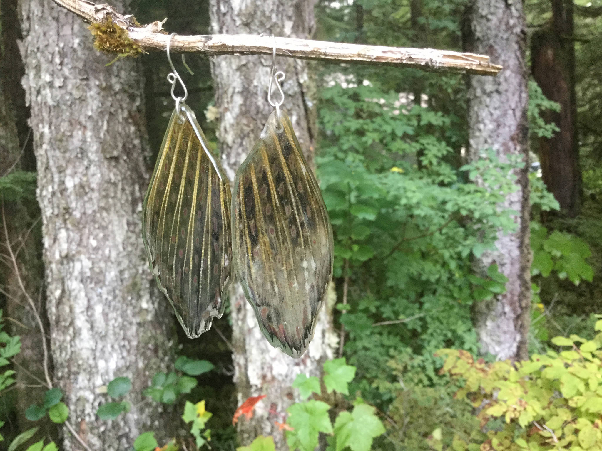 Earrings made from the fins of arctic grayling hang from a branch. (Courtesy Photo | Julienne Pacheco)