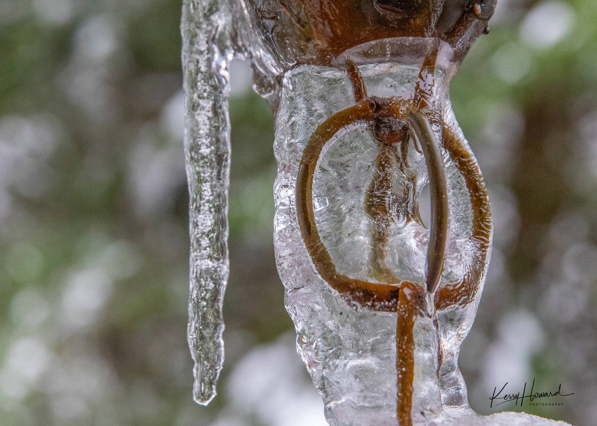Frozen water on a chain on Christmas 2018. (Courtesy Photo | Kerry Howard)