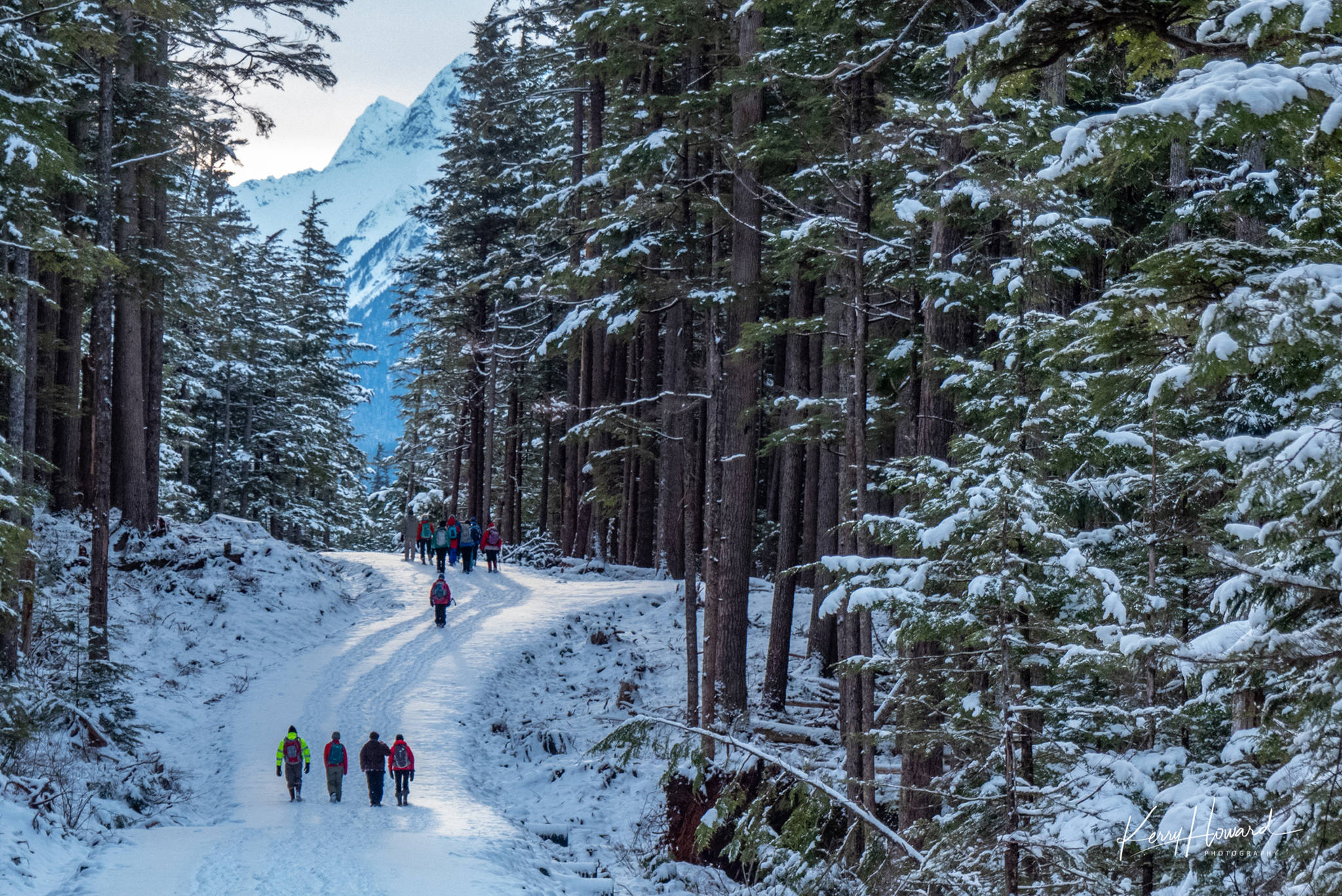 A group of hikers explore the North Douglas Pioneer Road on Jan. 9, 2019. (Courtesy Photo | Kerry Howard)