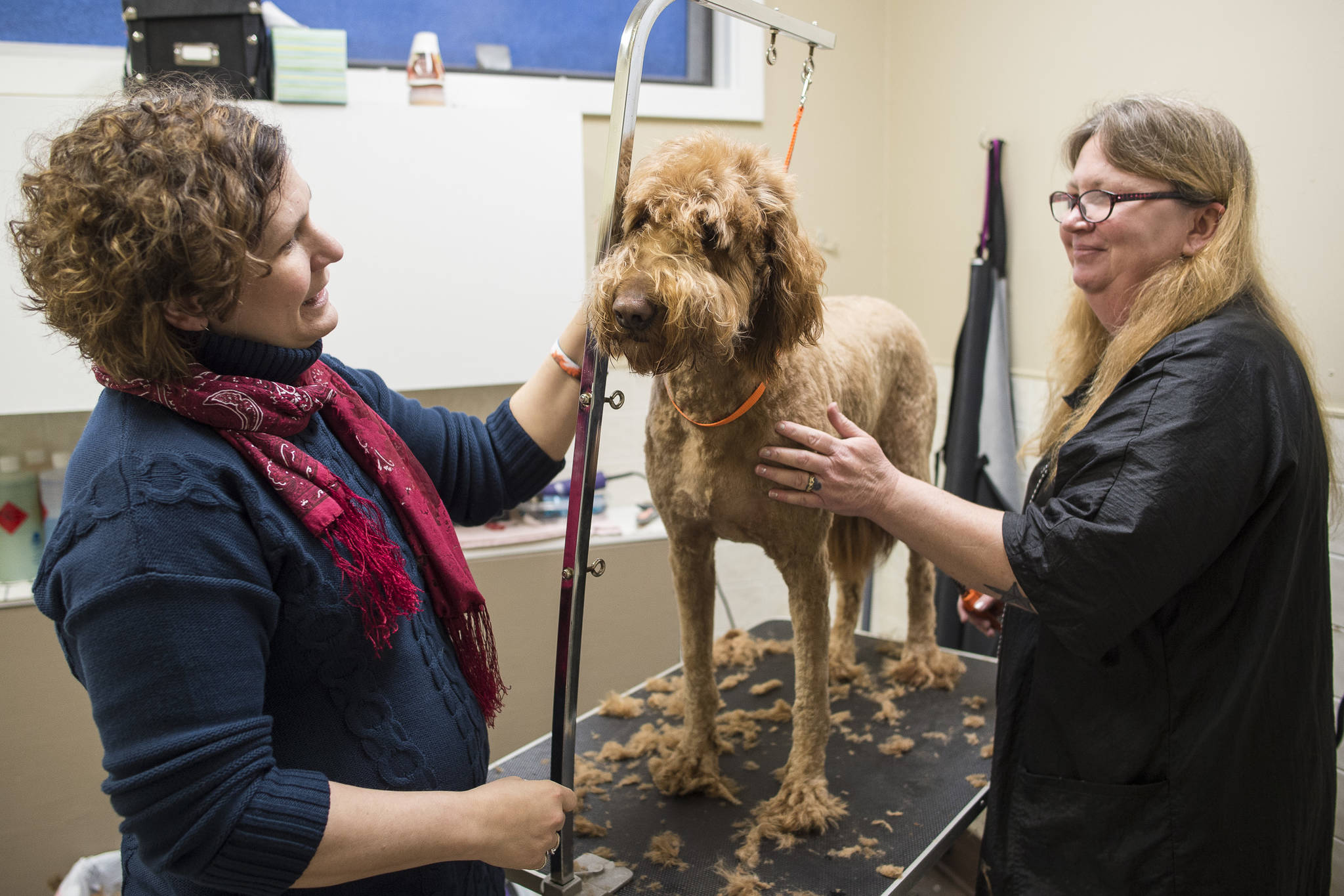 Executive Director Samantha Blankenship, left, looks on as Kennel Supervisor Heather Harper gives Delilah, a laborador/poodle mix, a trim at the Gastineau Humane Society on Friday, Dec. 28, 2018. The society is starting the new year with a name change to Juneau Animal Rescue. (Michael Penn | Juneau Empire)