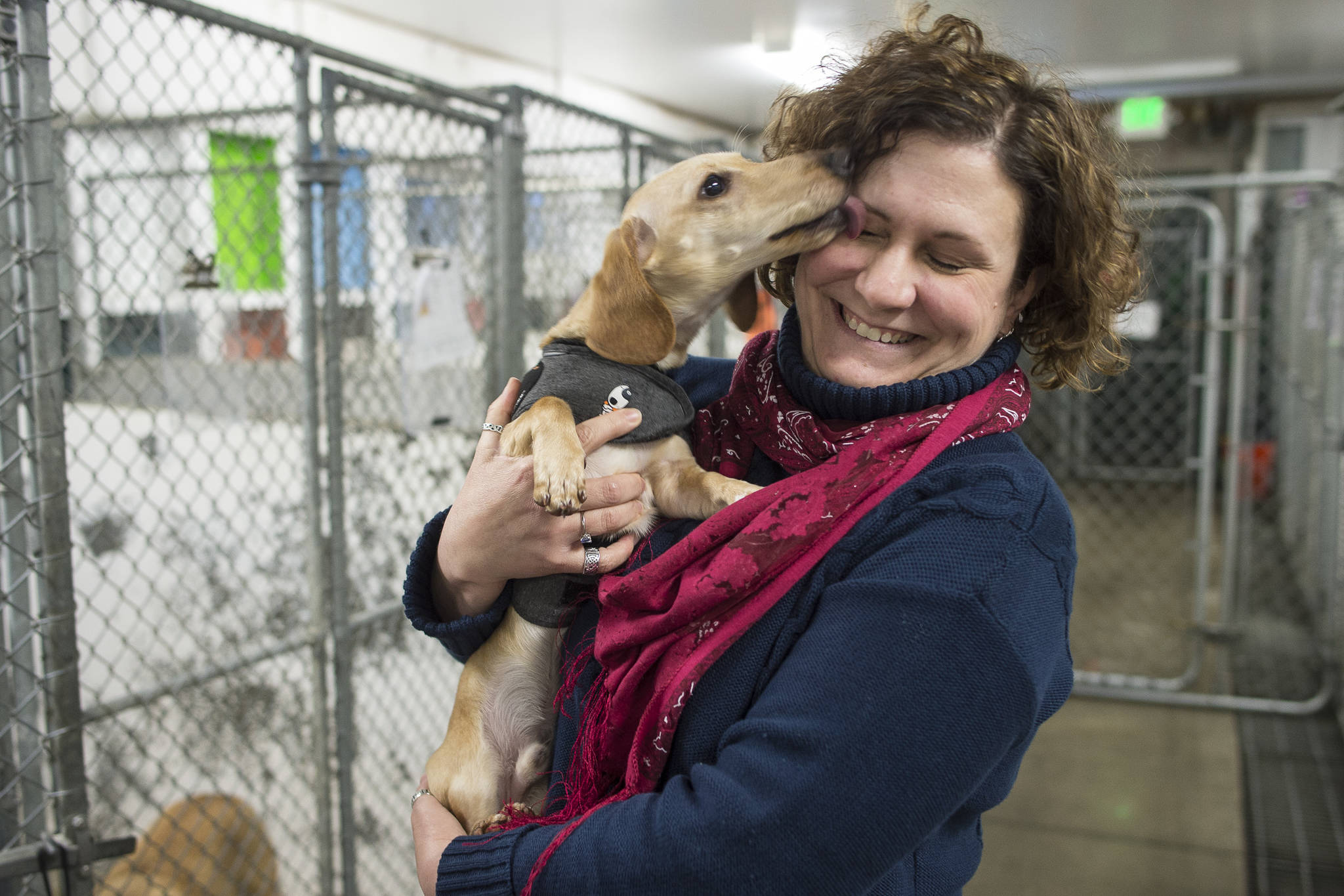 Executive Director Samantha Blankenship gets a kiss from Willie, a Dachshund puppy, at the Gastineau Humane Society on Friday, Dec. 28, 2018. The society is starting the new year with a name change to Juneau Animal Rescue. (Michael Penn | Juneau Empire)