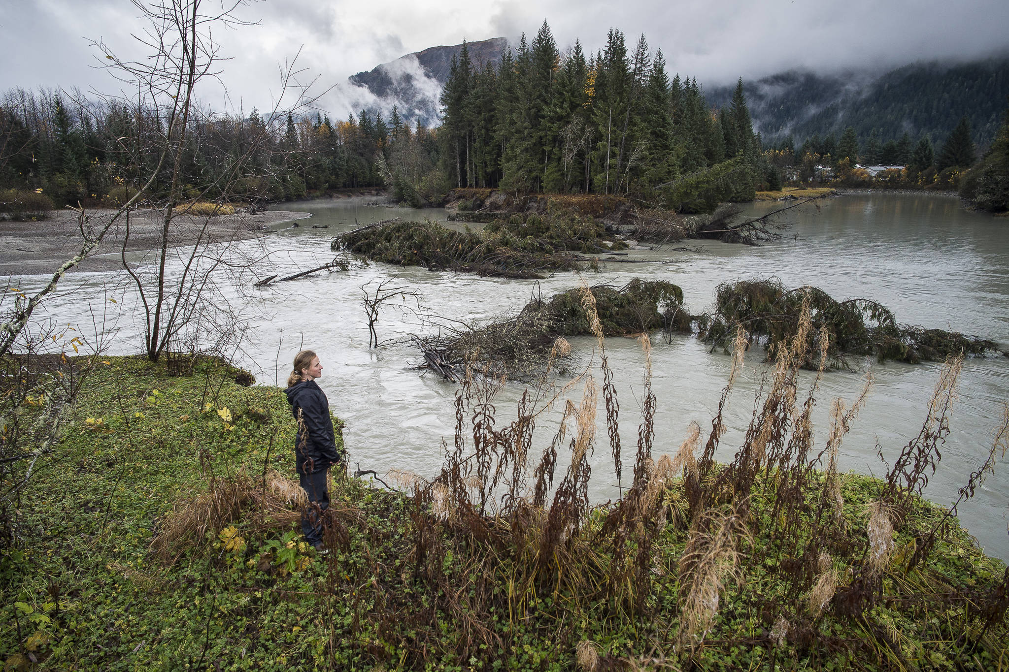 Sonia Nagorski, assistant professor of Geology Arts and Sciences at the University of Alaska Southeast, investigates the broken oxbow along the Mendenhall River on Wednesday, Oct. 17, 2018. The river cut through the meander bend just north of the Brotherhood Bridge last this summer. (Michael Penn | Juneau Empire)